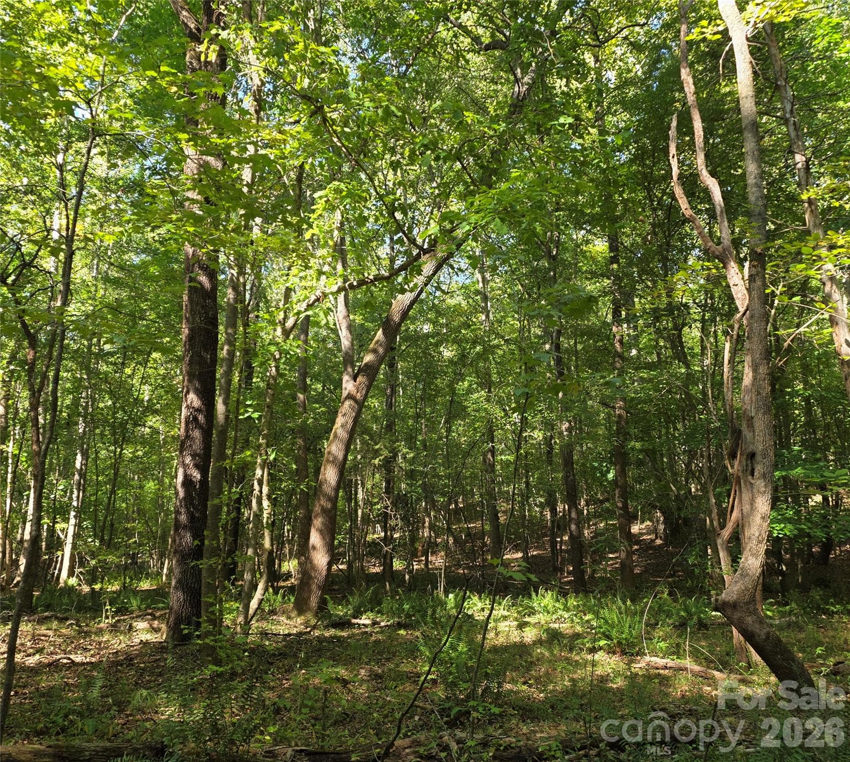 woods - 552 Midway Road, Richburg