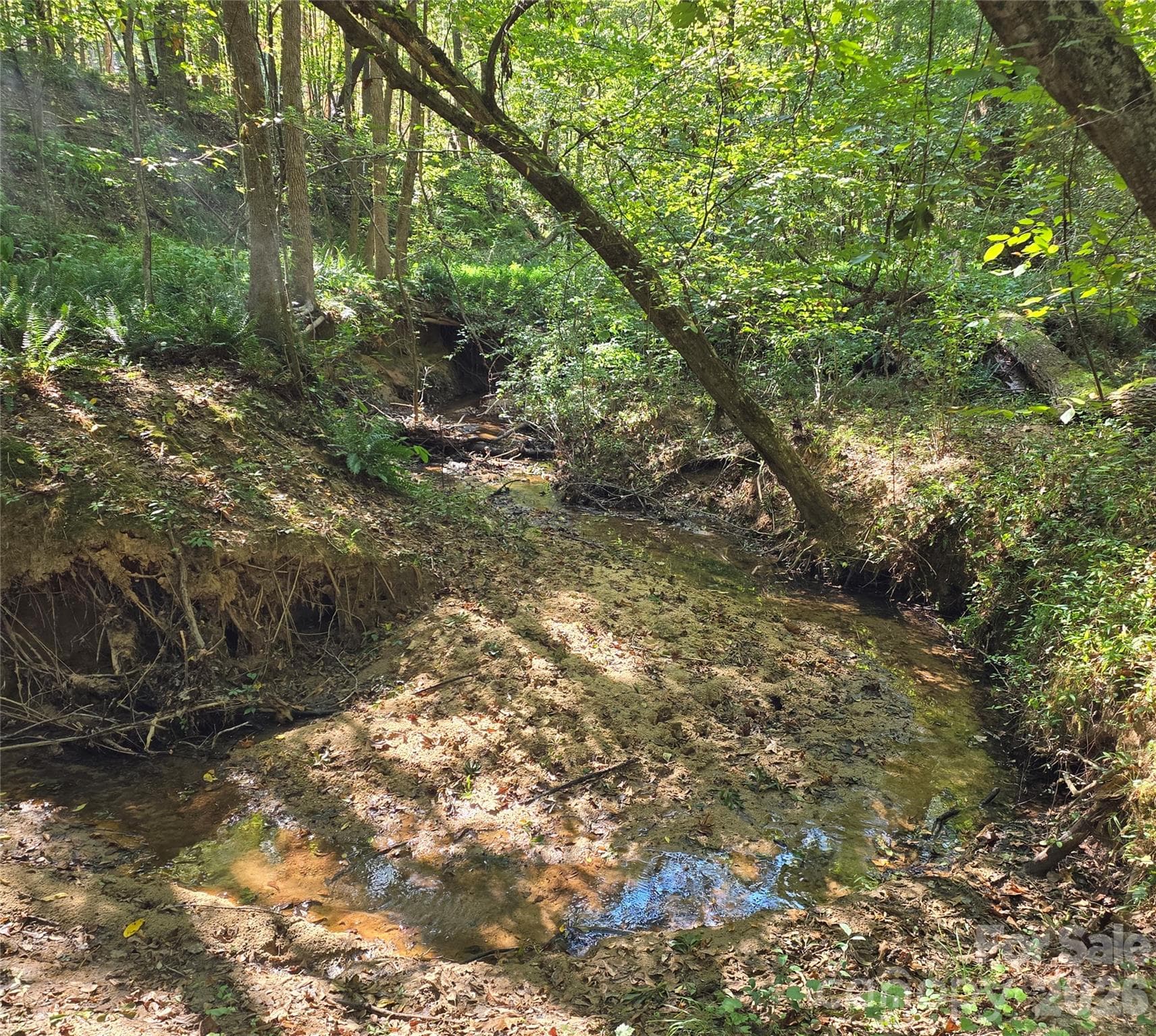 Creek with deer prints - 552 Midway Road, Richburg