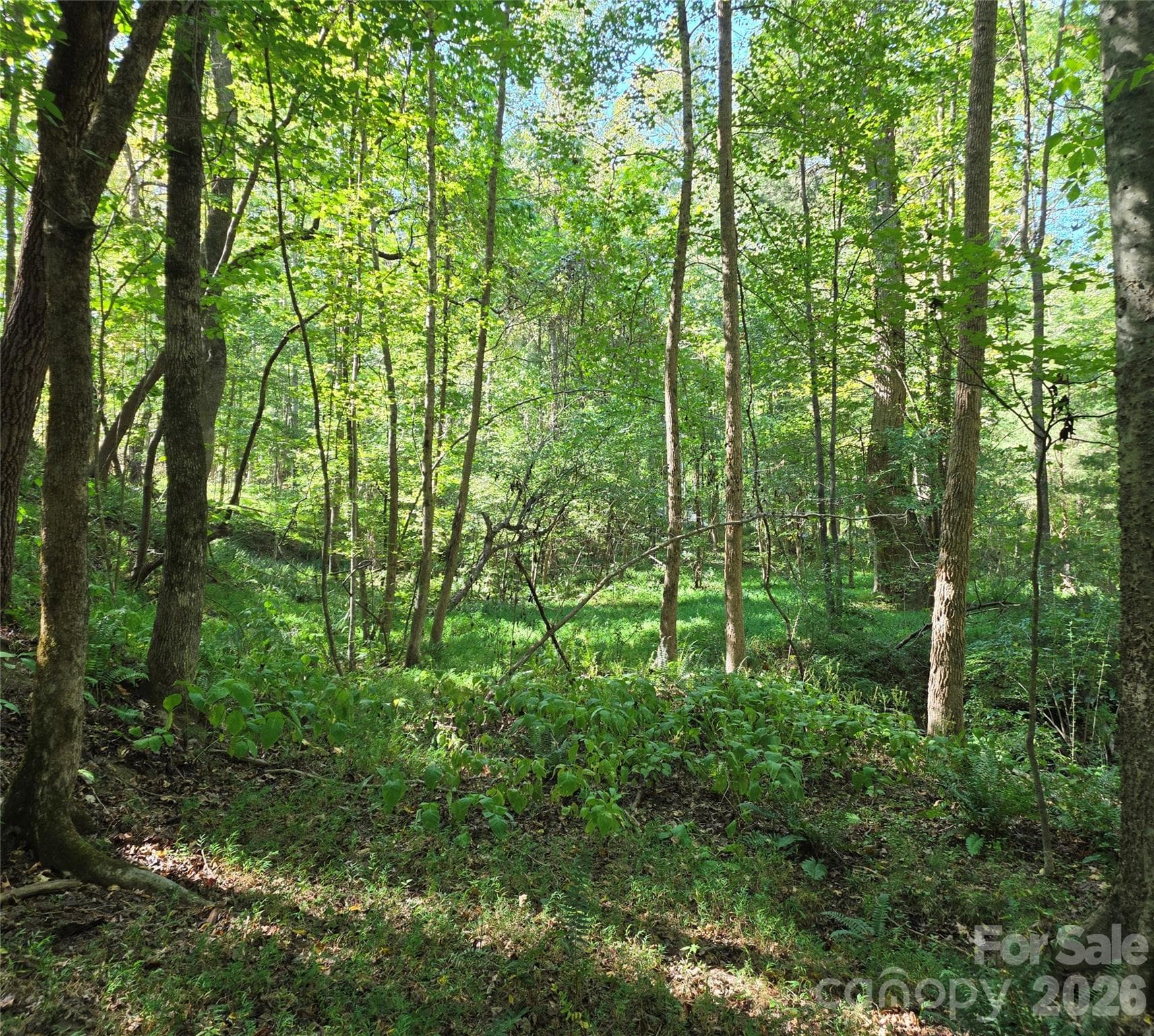 woods - 552 Midway Road, Richburg