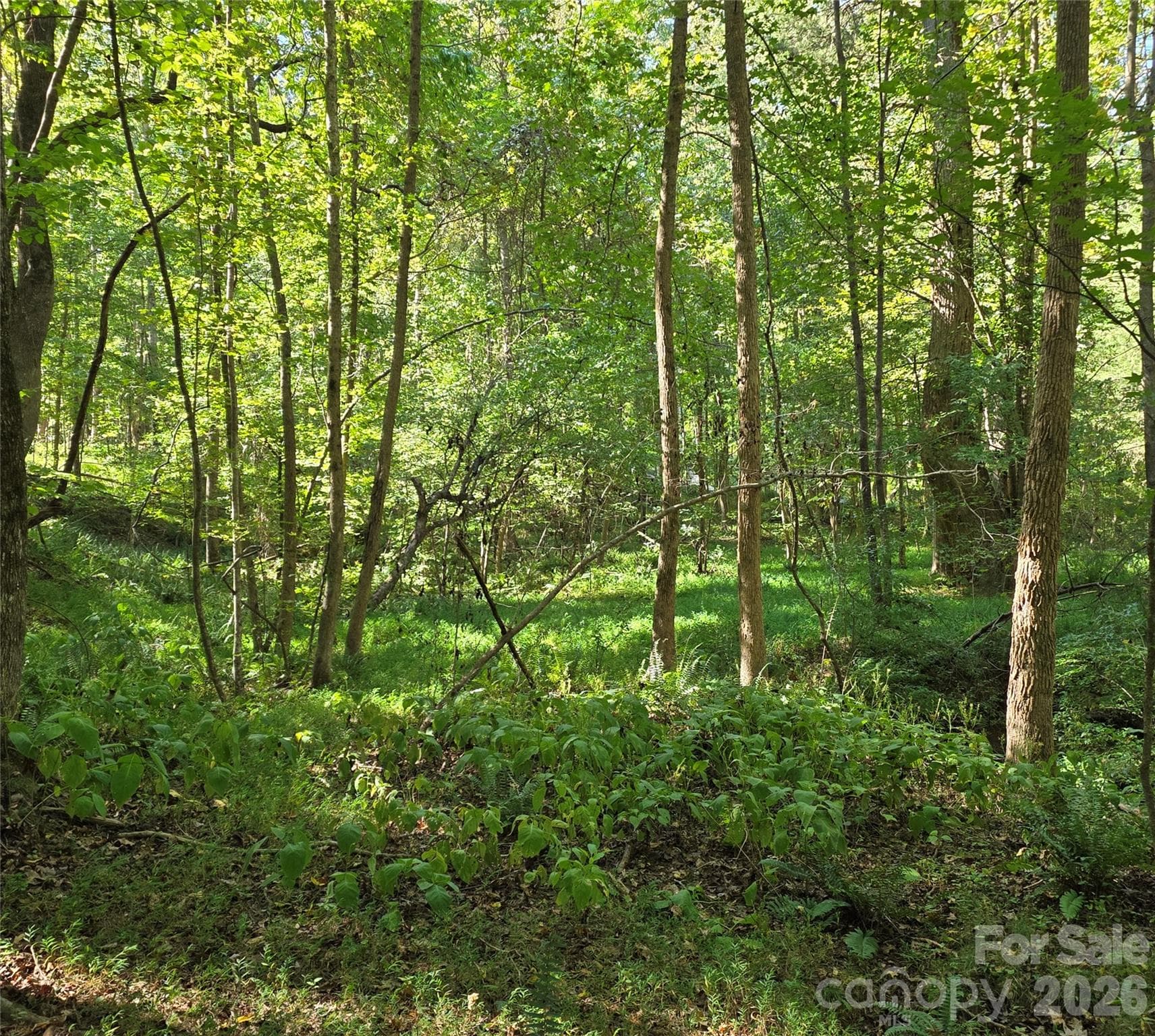 woods - 552 Midway Road, Richburg