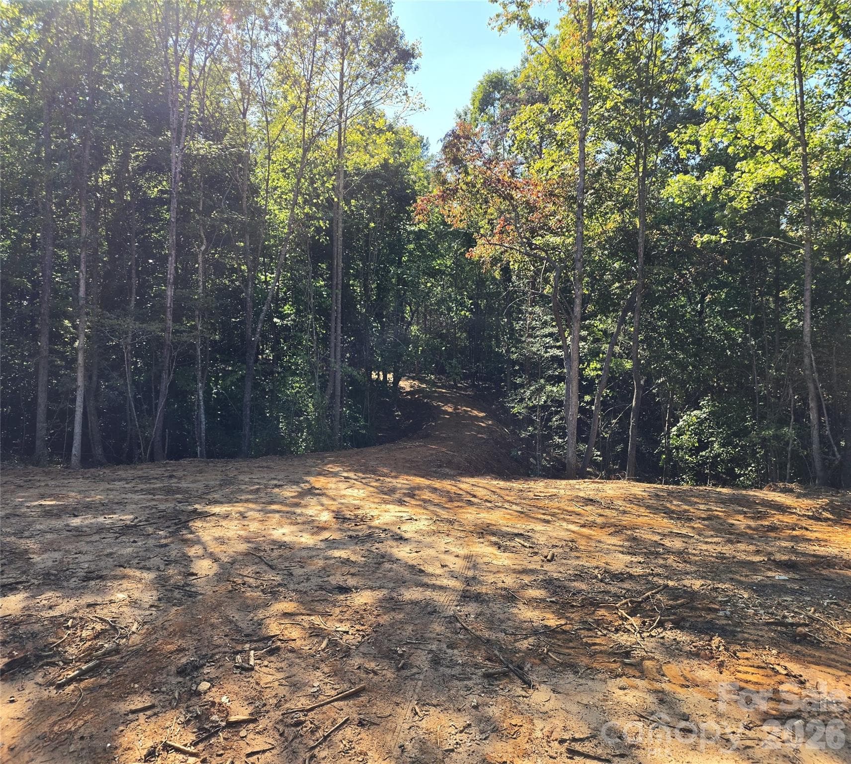 Build site view of driveway - 552 Midway Road, Richburg