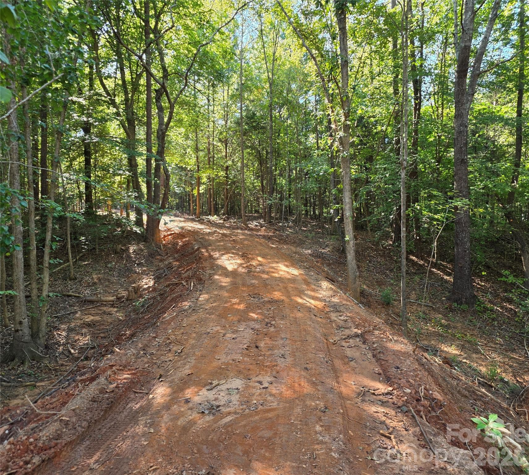 Driveway - 552 Midway Road, Richburg