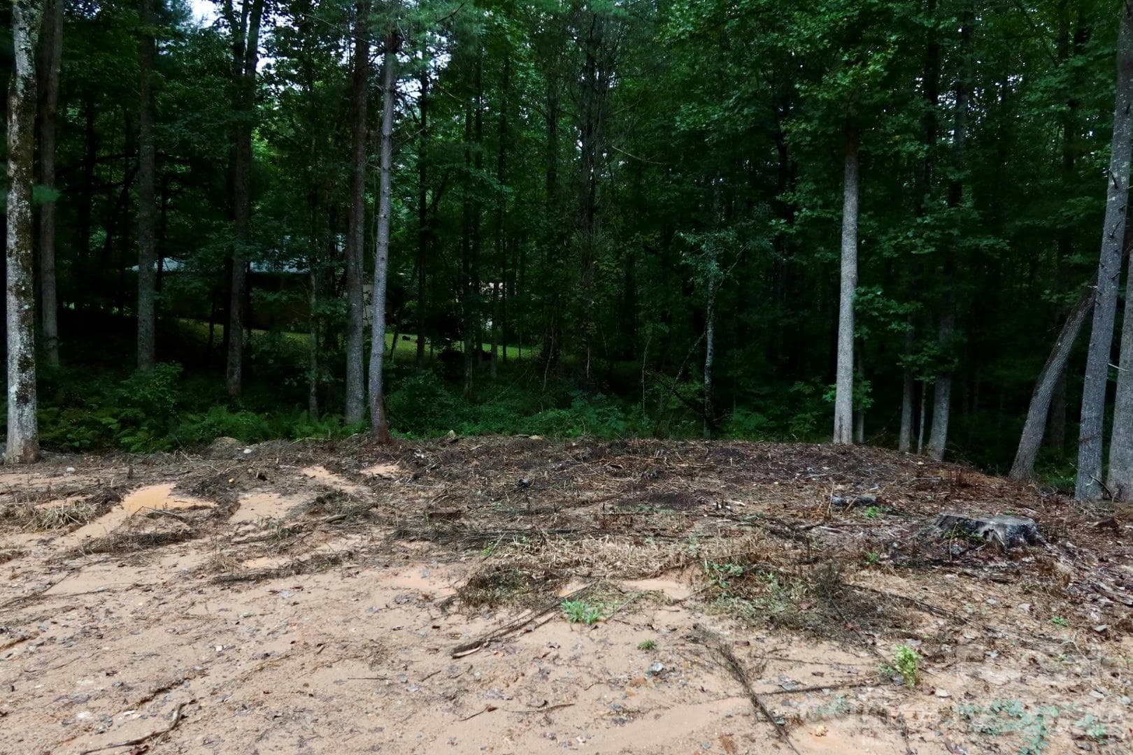 Lot at 180 Cinnamon Way, Flat Rock, photo 16 of 21