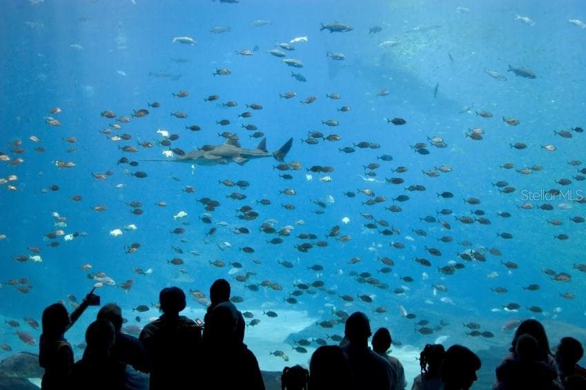 New Mote Marine research aquarium. - 6256 DONNINGTON CT, SARASOTA