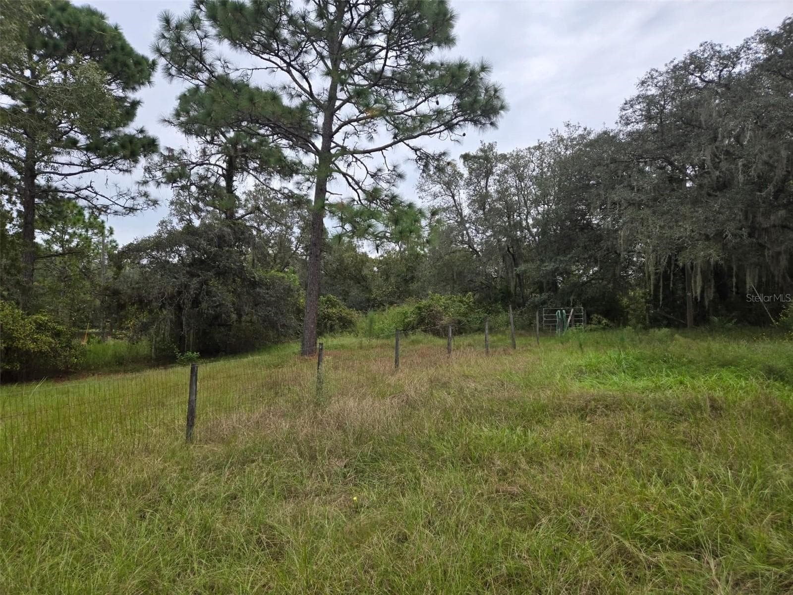 Manufactured Home at 6535 N EWOK PT, DUNNELLON, photo 4 of 17