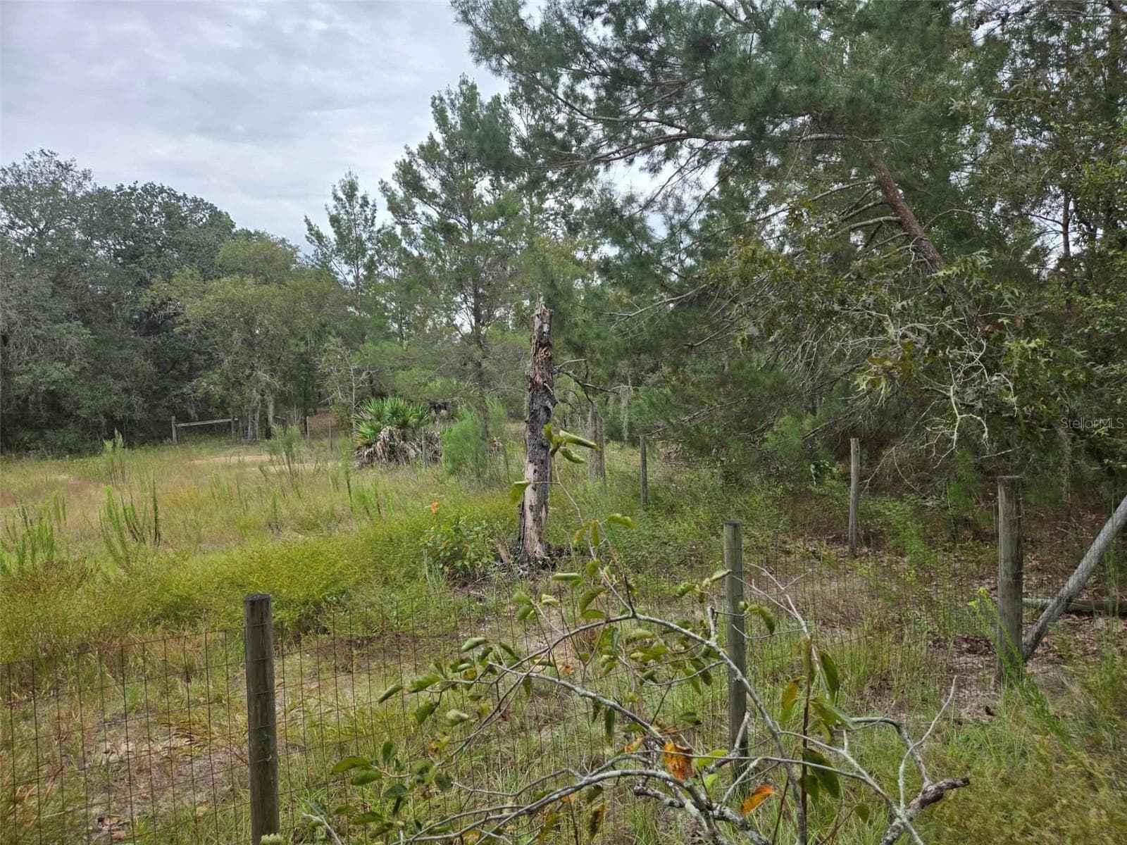 Manufactured Home at 6535 N EWOK PT, DUNNELLON, photo 15 of 17