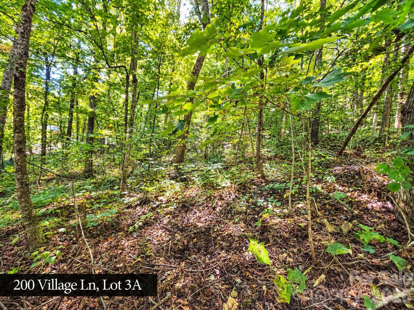 Lot at 200 Village Lane, Waynesville, photo 2 of 29