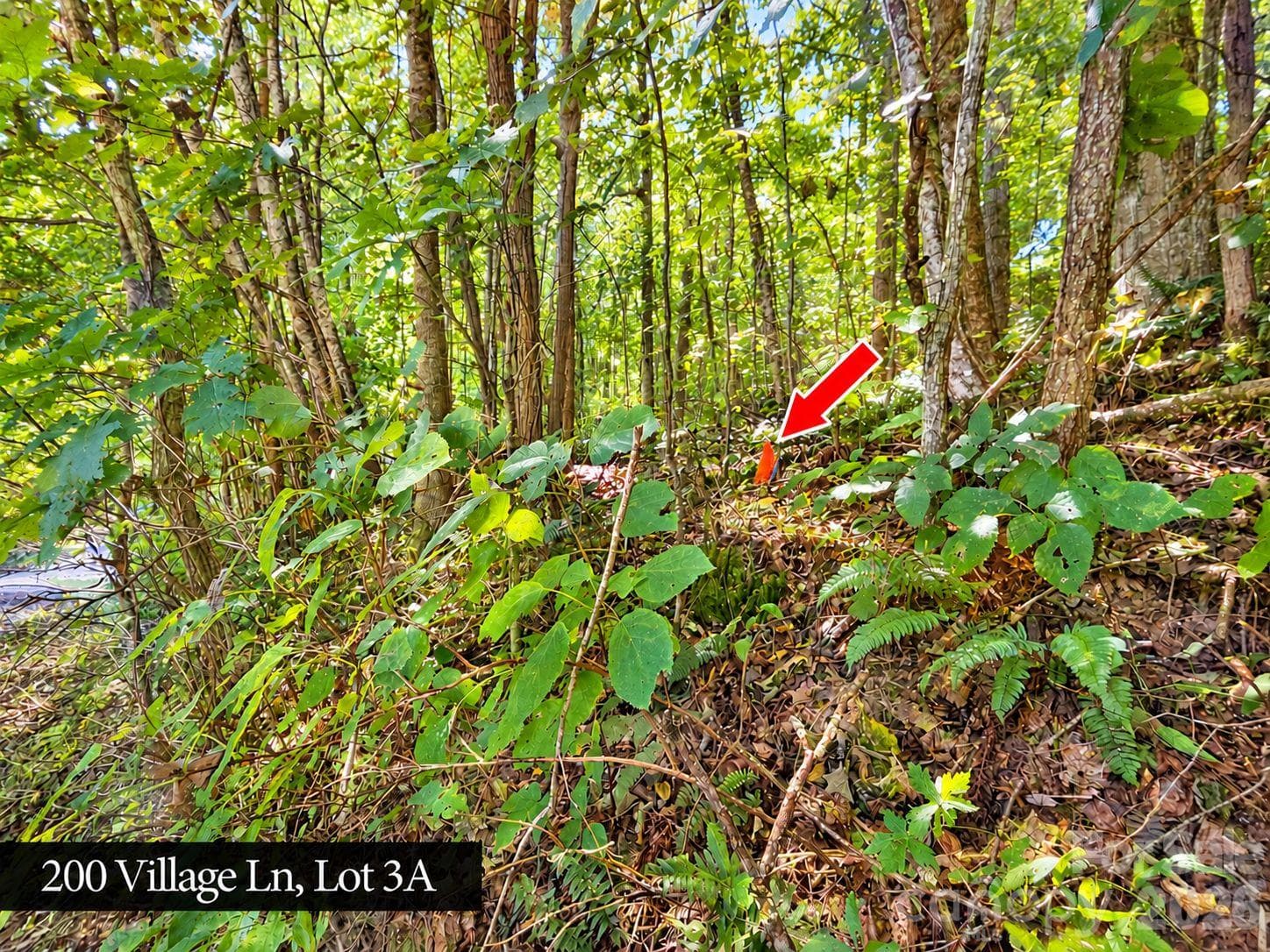 Lot at 200 Village Lane, Waynesville, photo 4 of 29
