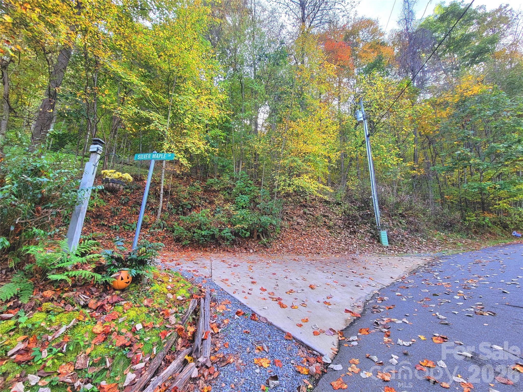 Lot at 200 Village Lane, Waynesville, photo 6 of 29