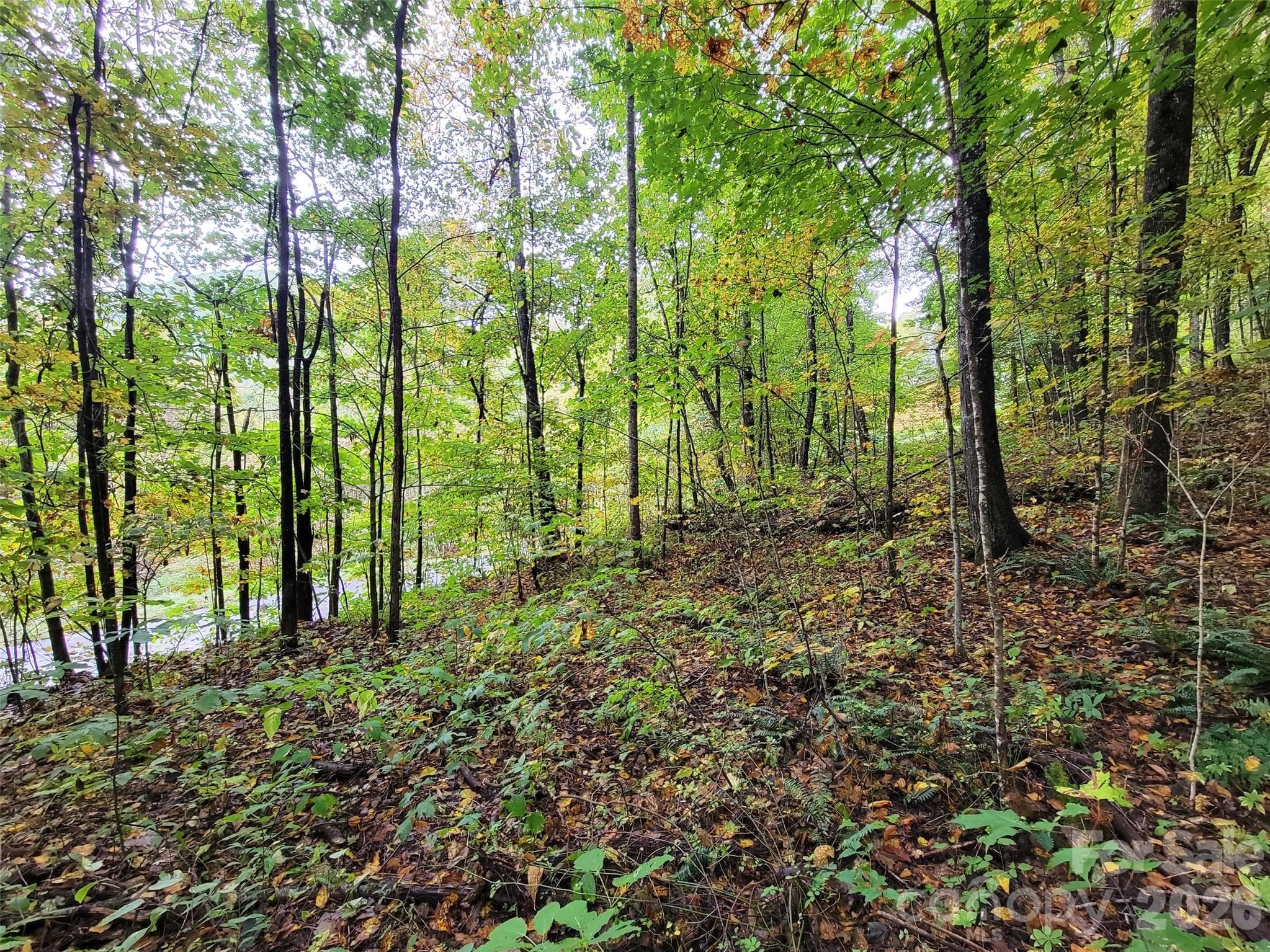 Lot at 200 Village Lane, Waynesville, photo 7 of 29