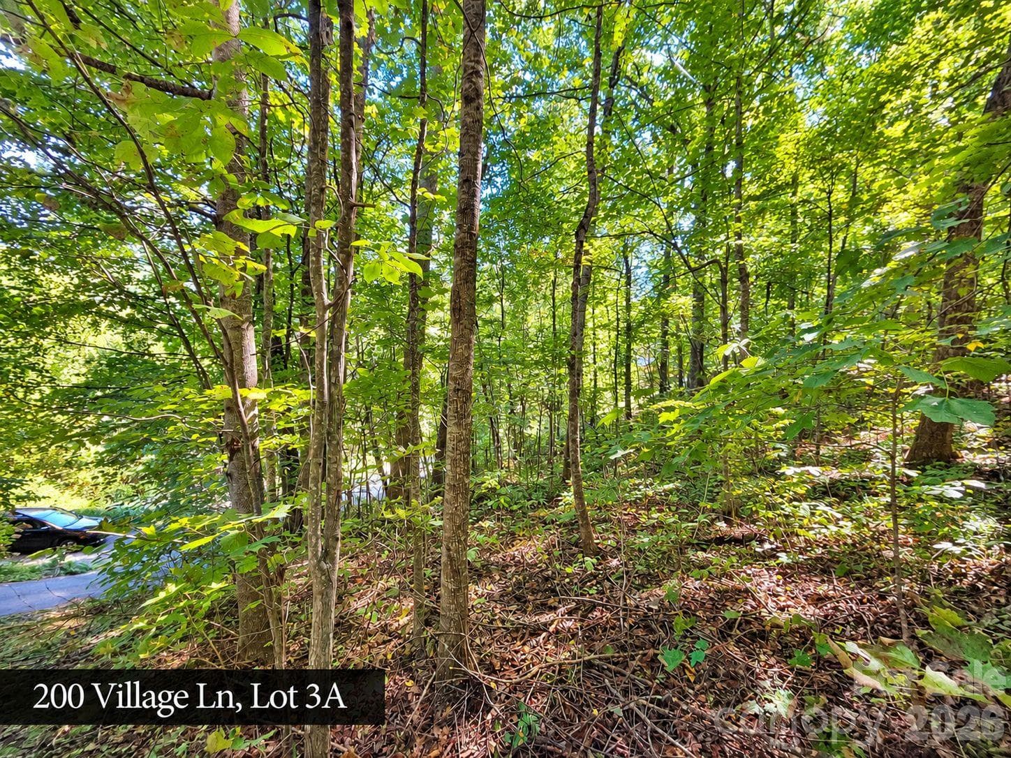 Lot at 200 Village Lane, Waynesville, photo 9 of 29