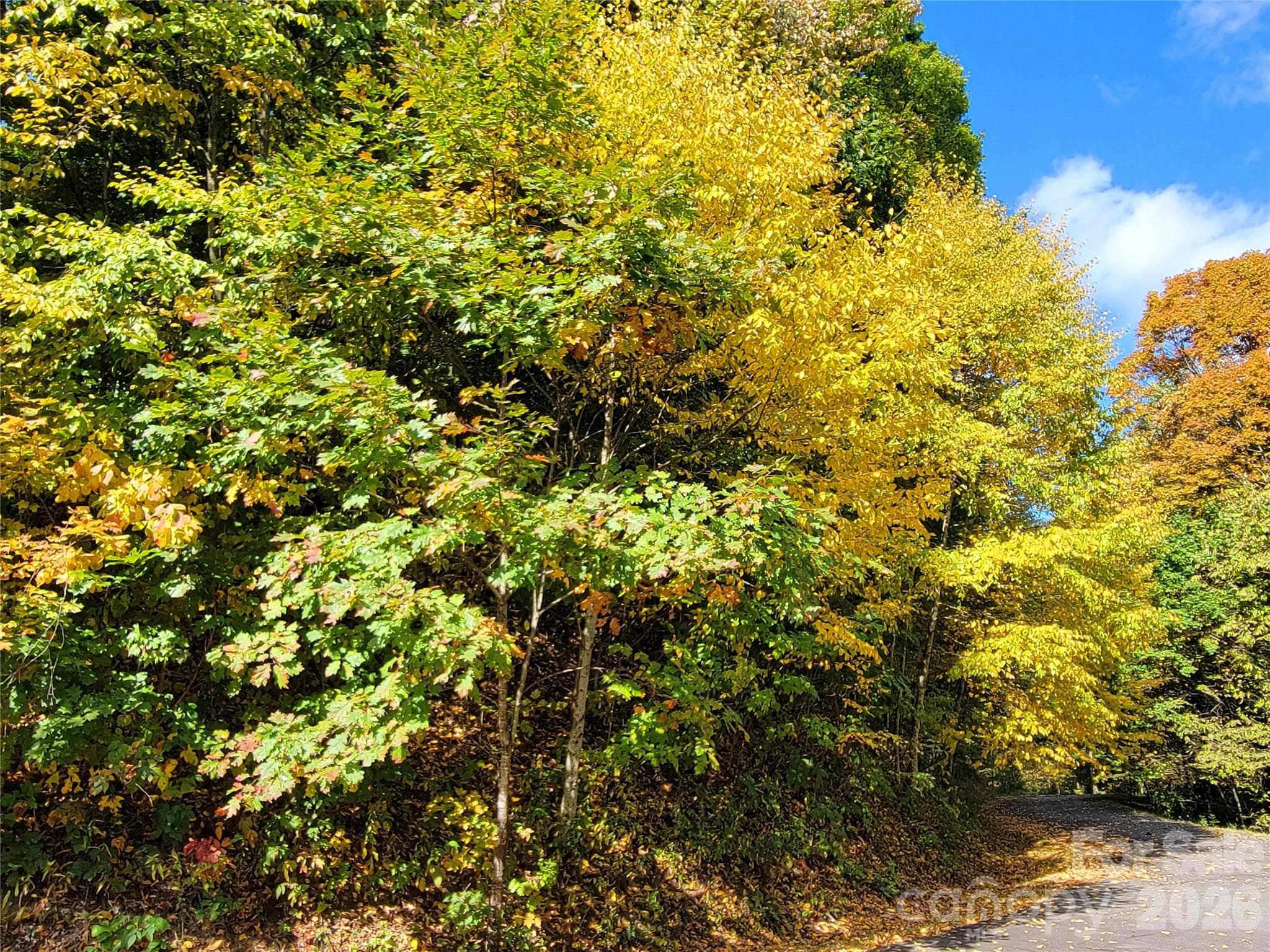 Lot at 200 Village Lane, Waynesville, photo 10 of 29