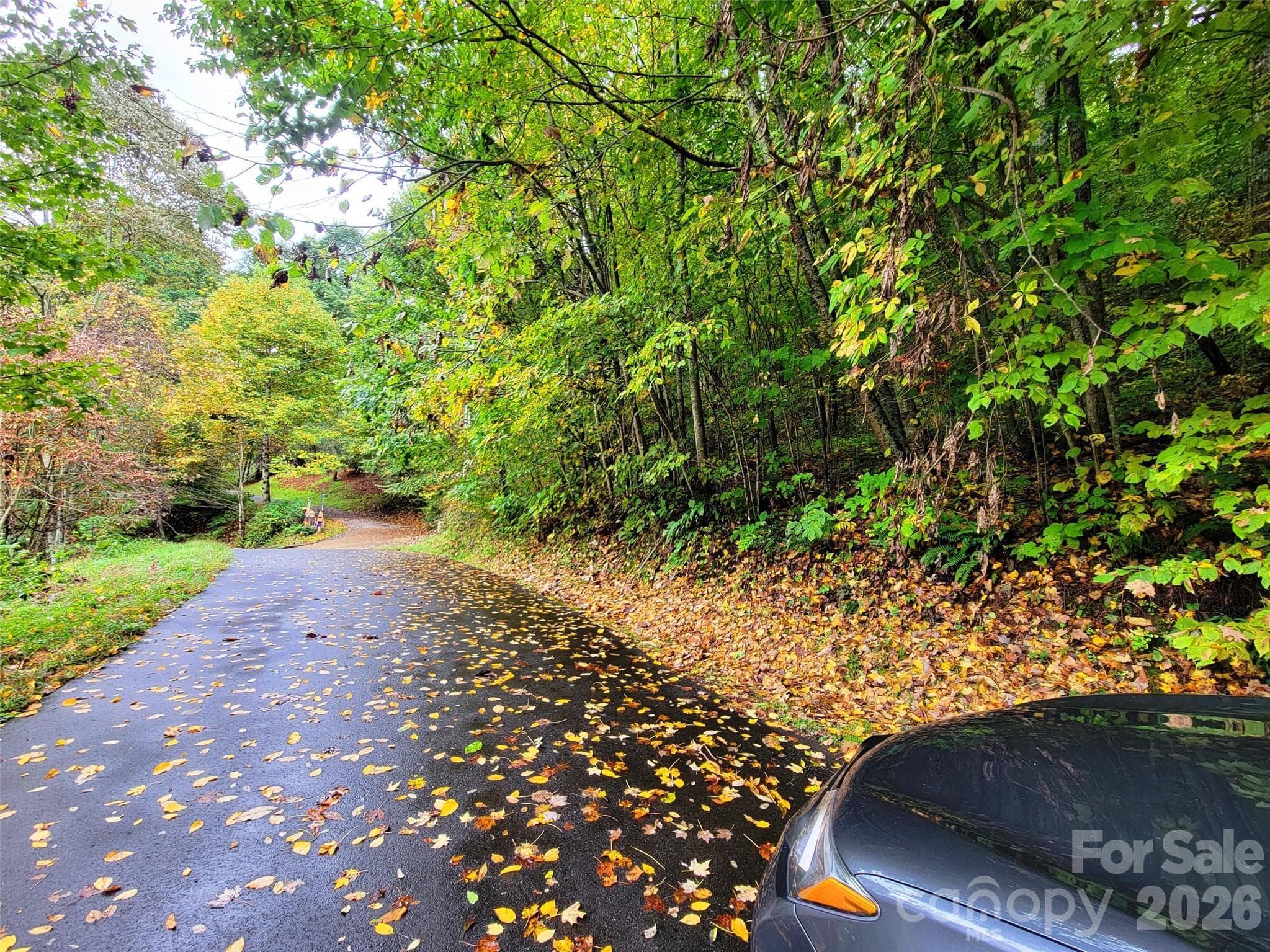 Lot at 200 Village Lane, Waynesville, photo 12 of 29