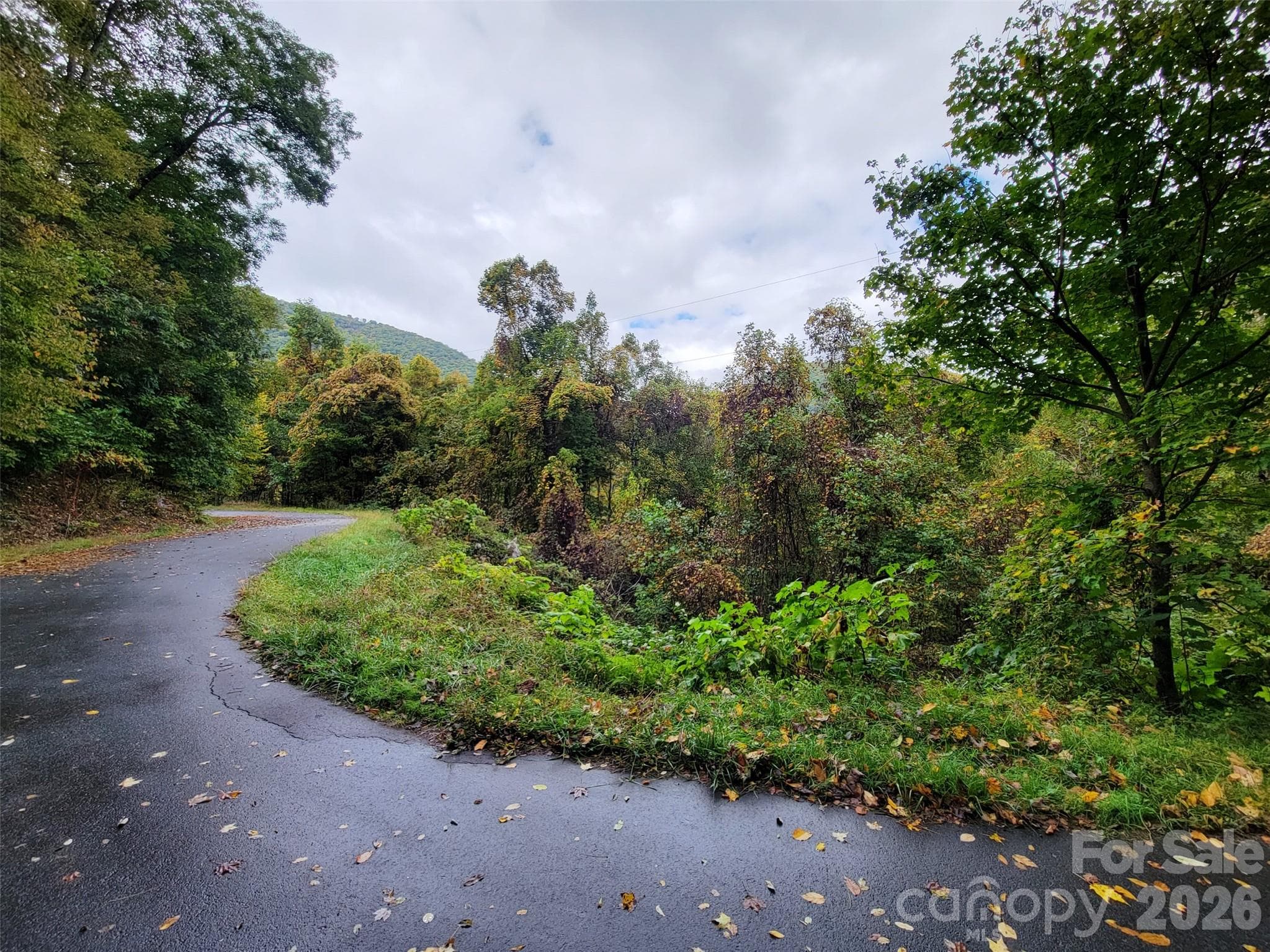 Lot at 200 Village Lane, Waynesville, photo 17 of 29