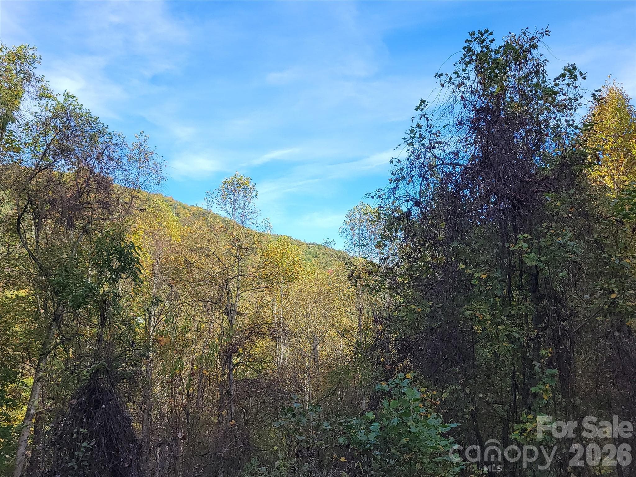 Lot at 200 Village Lane, Waynesville, photo 19 of 29