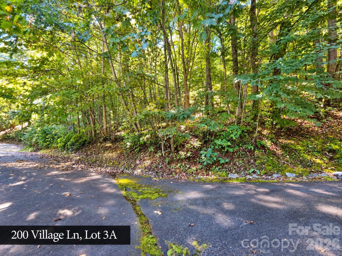 Lot at 200 Village Lane, Waynesville, photo 23 of 29