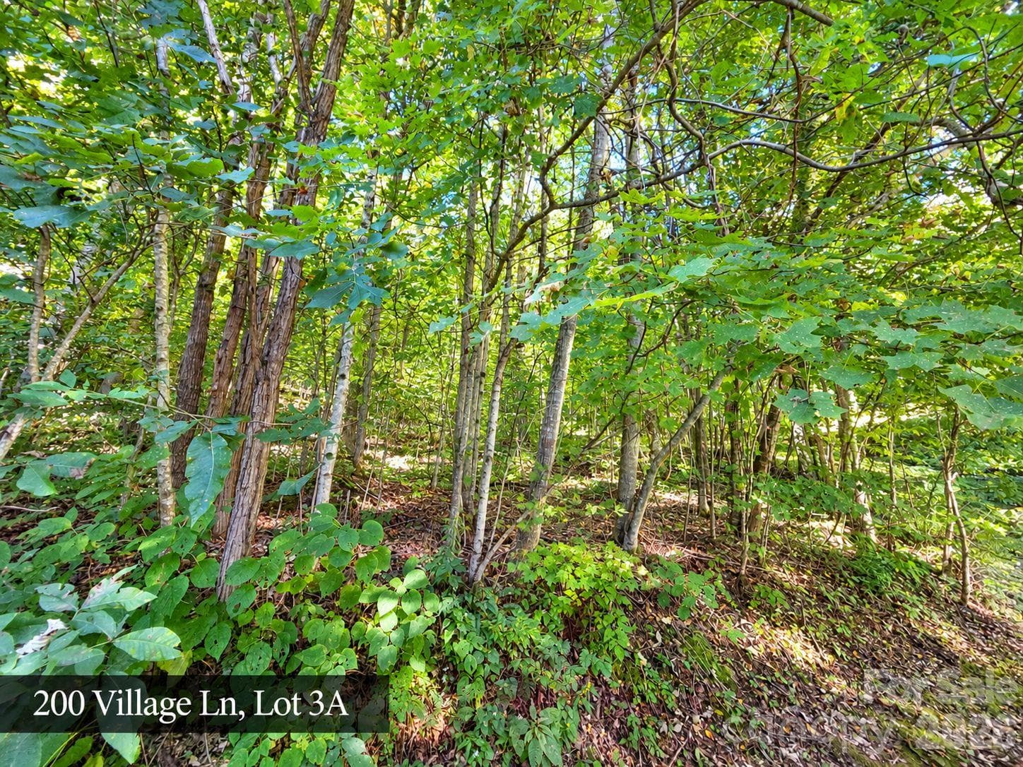 Lot at 200 Village Lane, Waynesville, photo 28 of 29