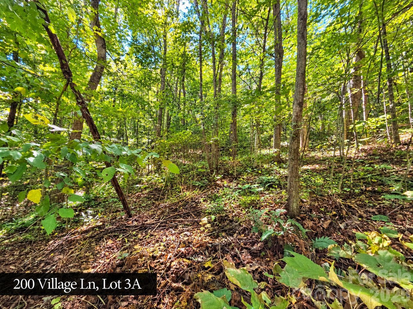 Lot at 200 Village Lane, Waynesville, photo 29 of 29