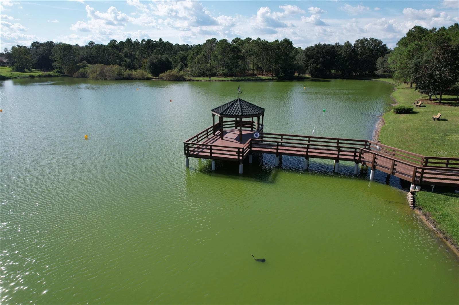 Single Family Residence at 12832 SE 91ST CT, SUMMERFIELD, photo 78 of 87