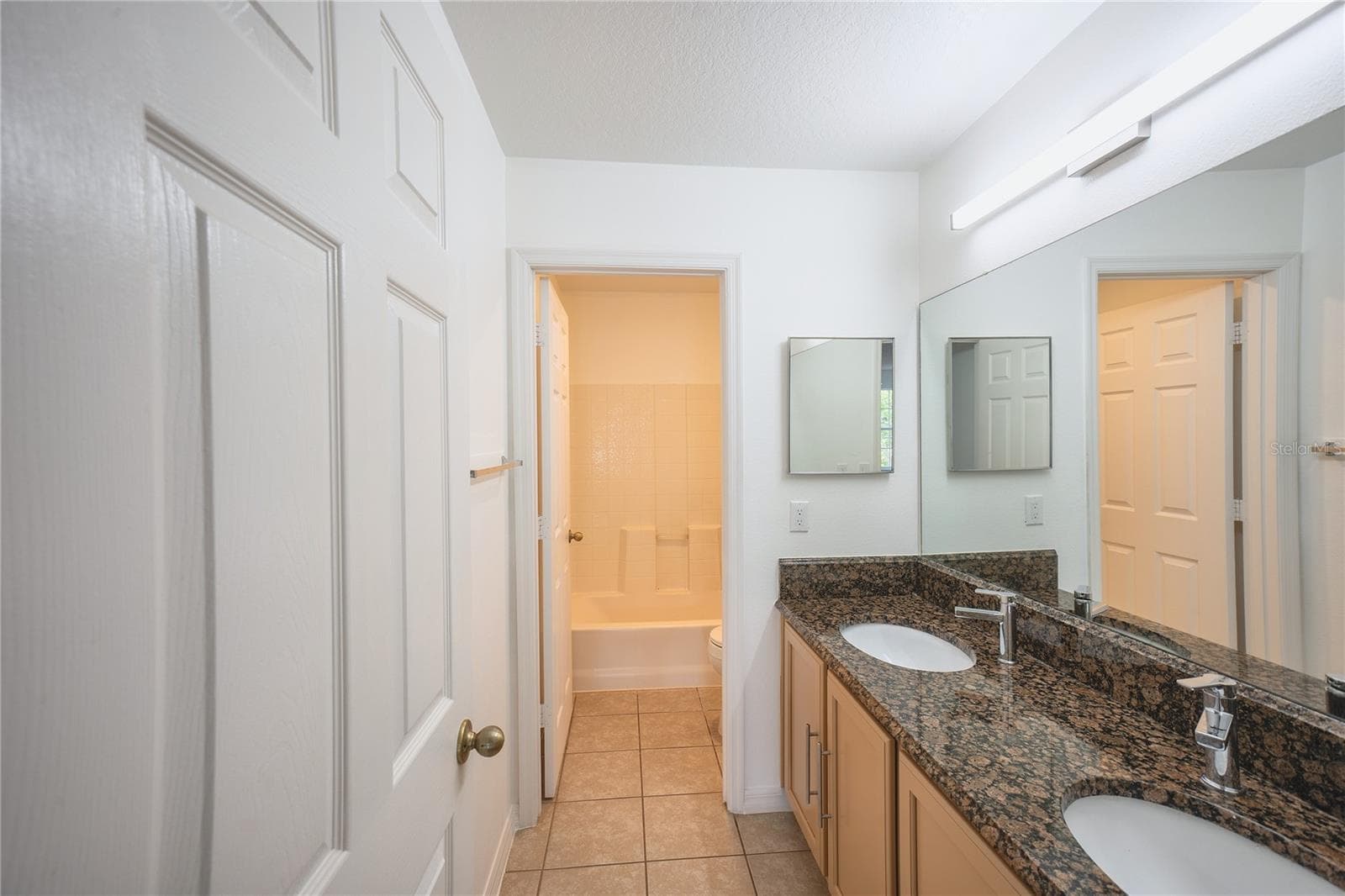 Guest Bath - 14208 ABINGTON HEIGHTS DR, ORLANDO