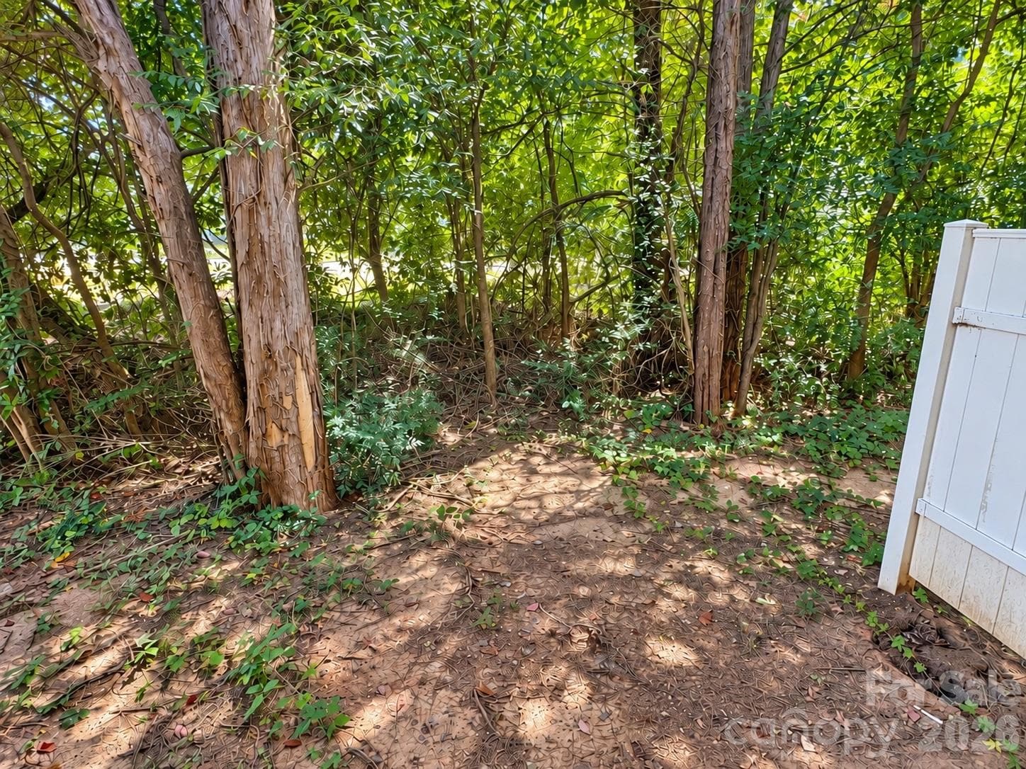 Backyard - 5356 Austin Knoll Court, Charlotte