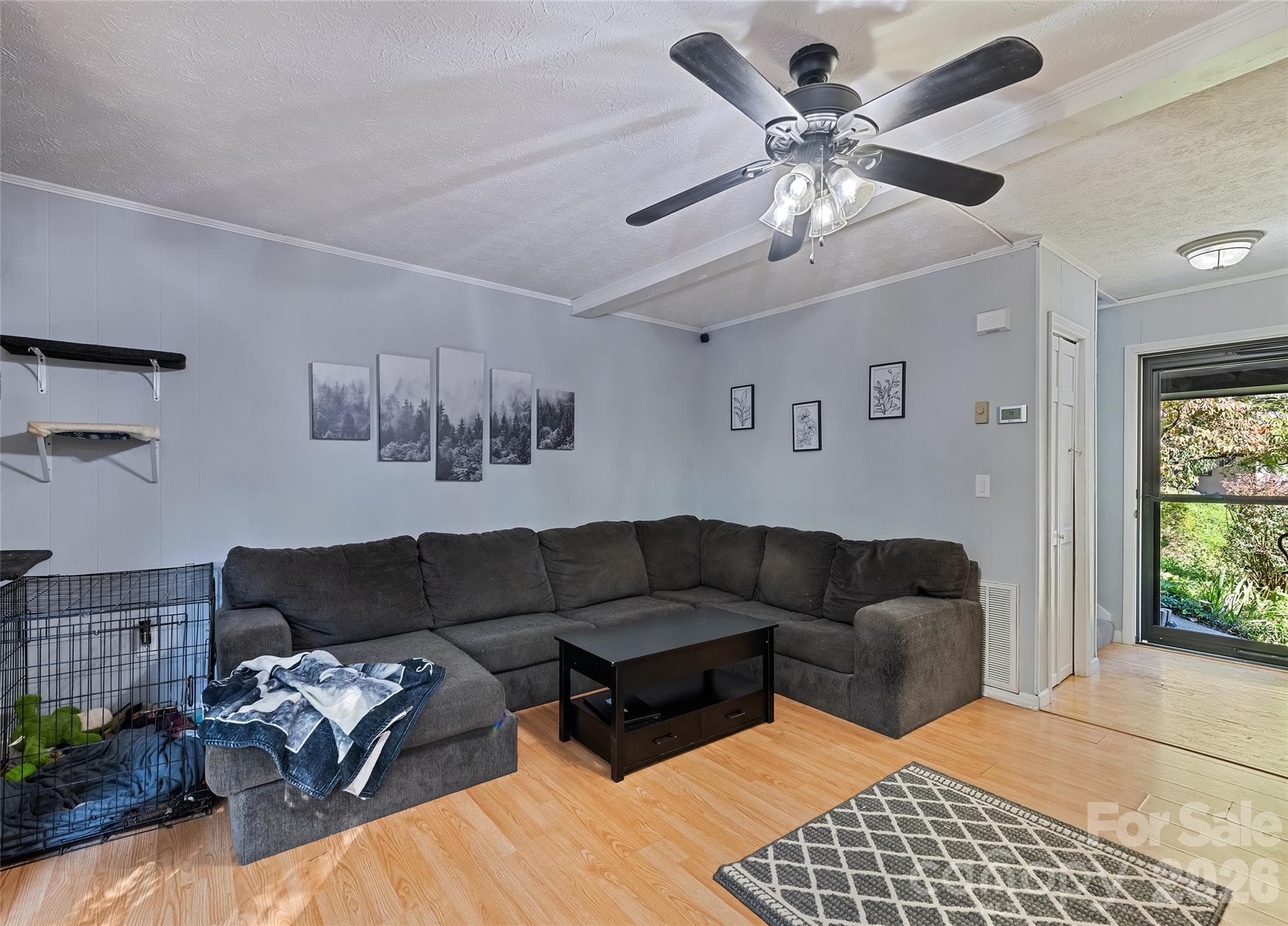 Front door leads to the living room. - 177 Forest Drive, Clyde