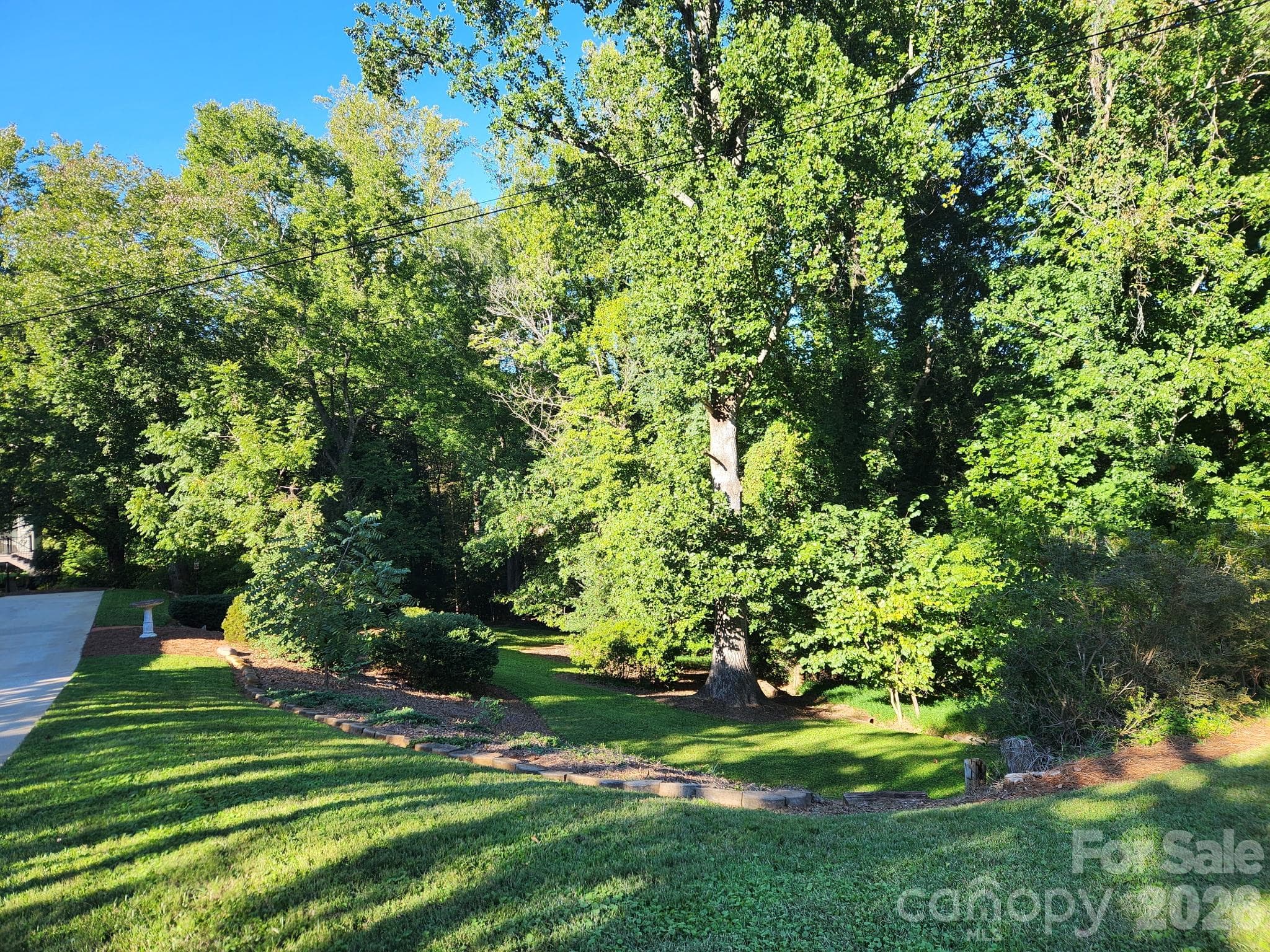 Backyard - 1007 Woodland Street SE, Valdese