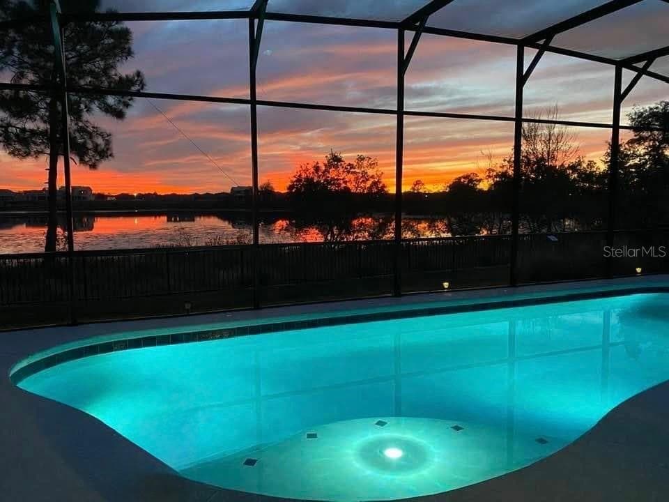 Enjoy a Night Swim - 10048 BEACH PORT DR, WINTER GARDEN