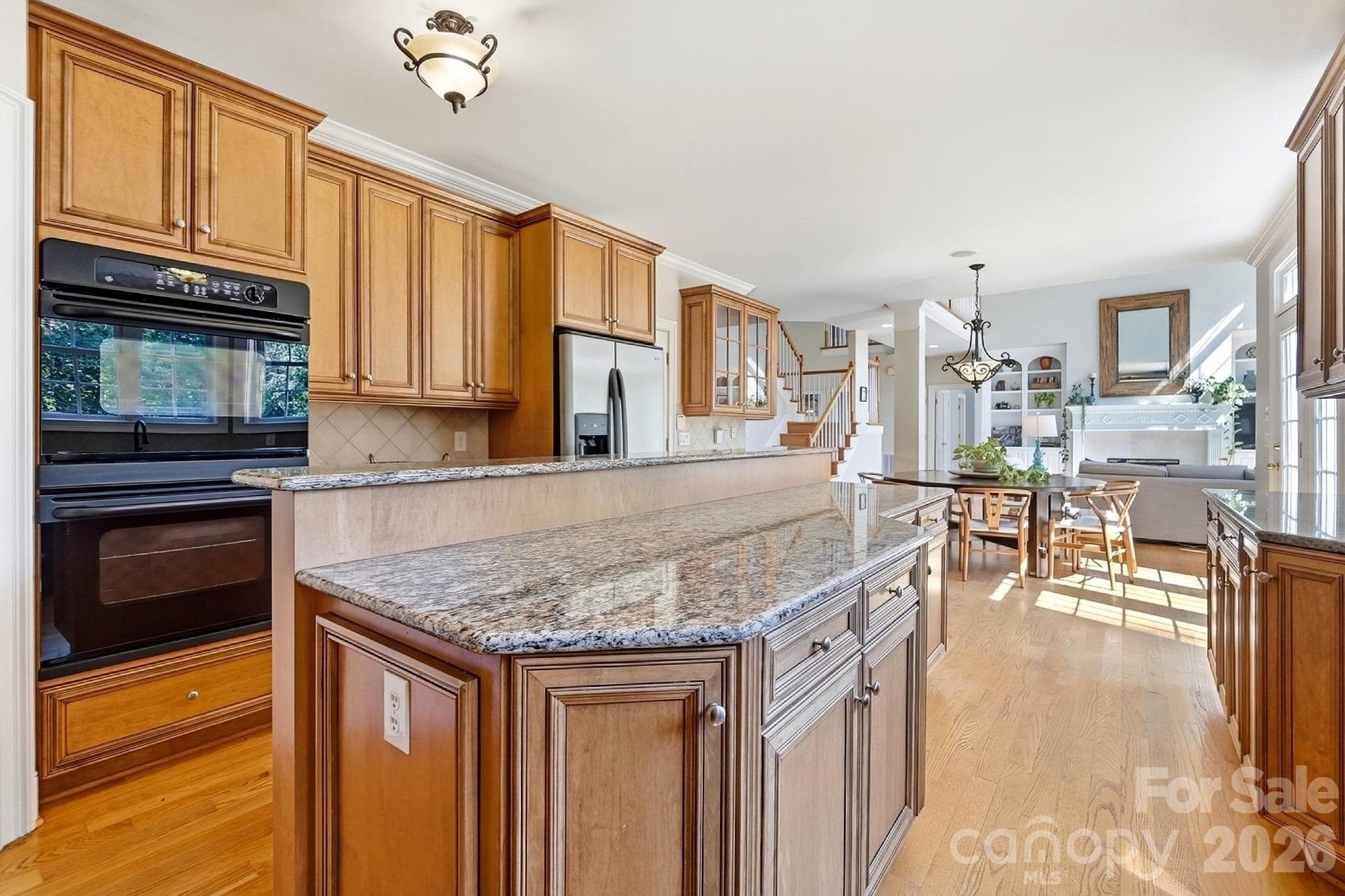 Single Family Residence at 4224 Mountain Cove Drive, Charlotte, photo 17 of 48