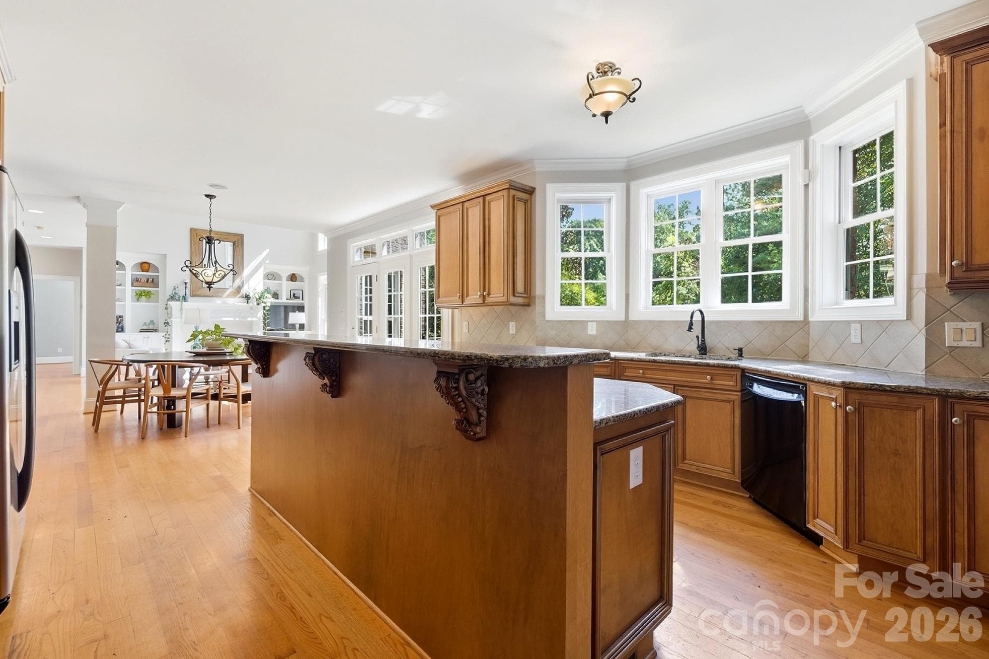 Single Family Residence at 4224 Mountain Cove Drive, Charlotte, photo 18 of 48