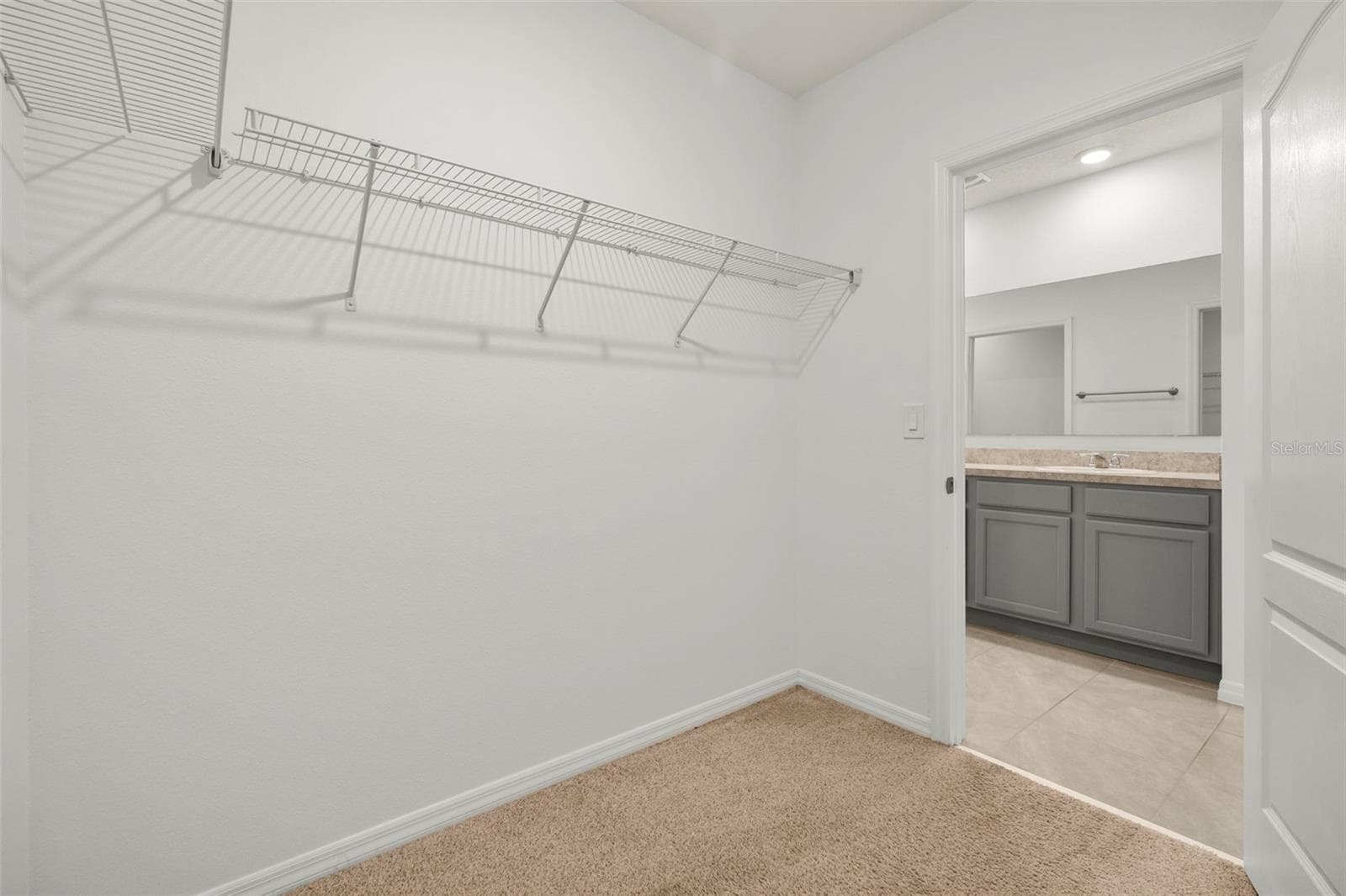 Generous walk-in closet offering plenty of storage space. - 3658 CASPIAN ST, LEESBURG