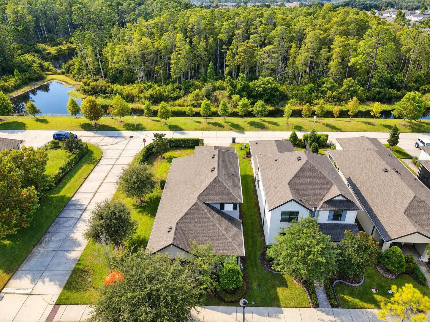 Corner lot, oversized lot, conservation and pond view - 3871 NIGHT STAR TRL, ODESSA