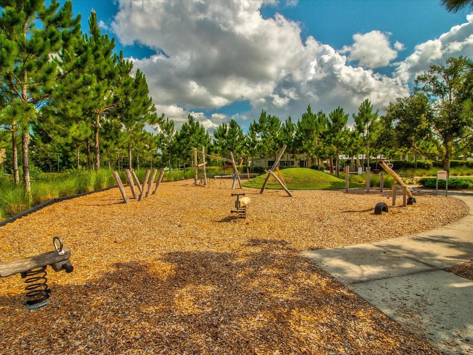 Playground - 3871 NIGHT STAR TRL, ODESSA