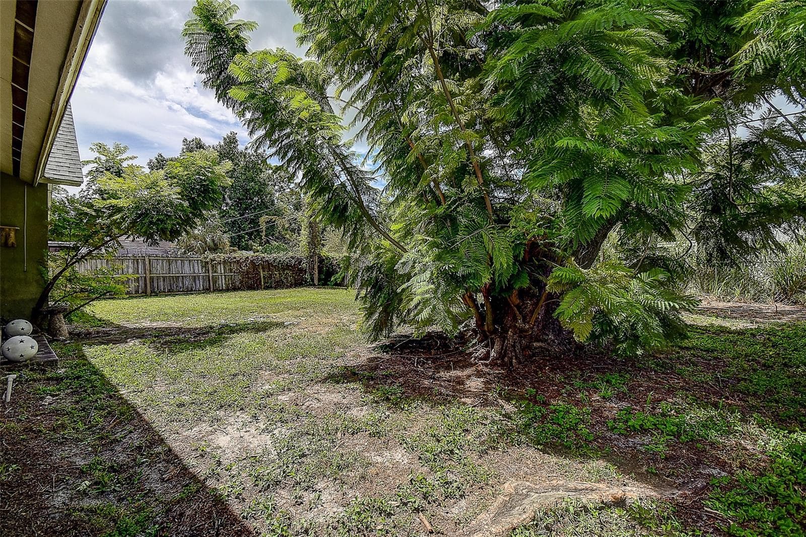 Large Backyard - 1508 SUFFOLK ST N, ST PETERSBURG