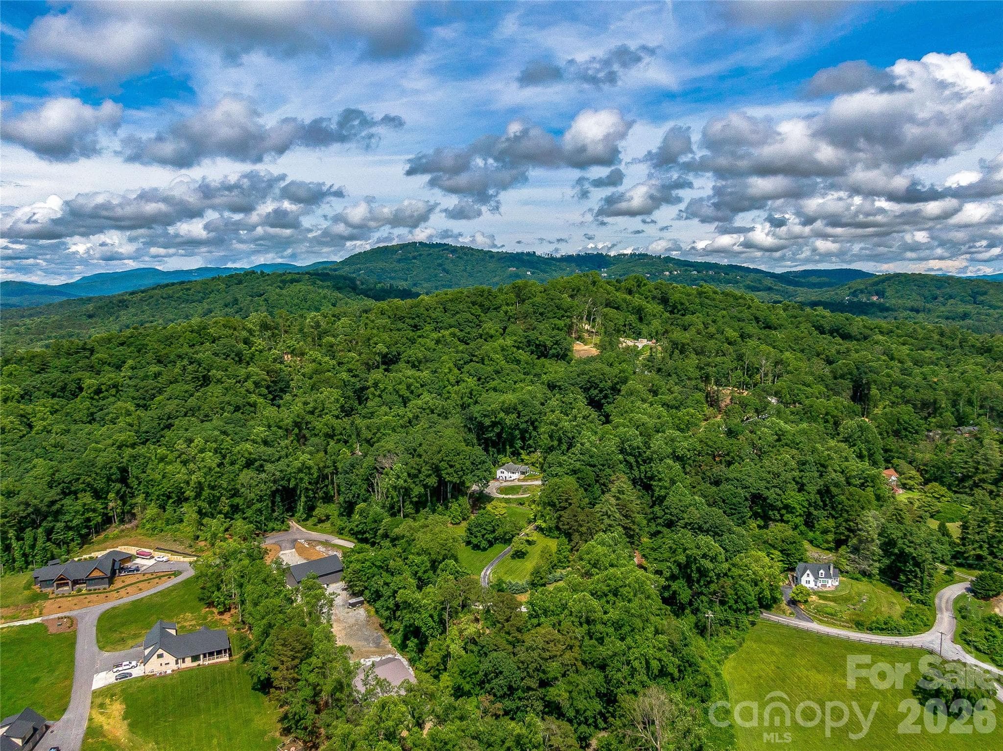 Single Family Residence at 170 Twin Springs Road, Hendersonville, photo 7 of 20