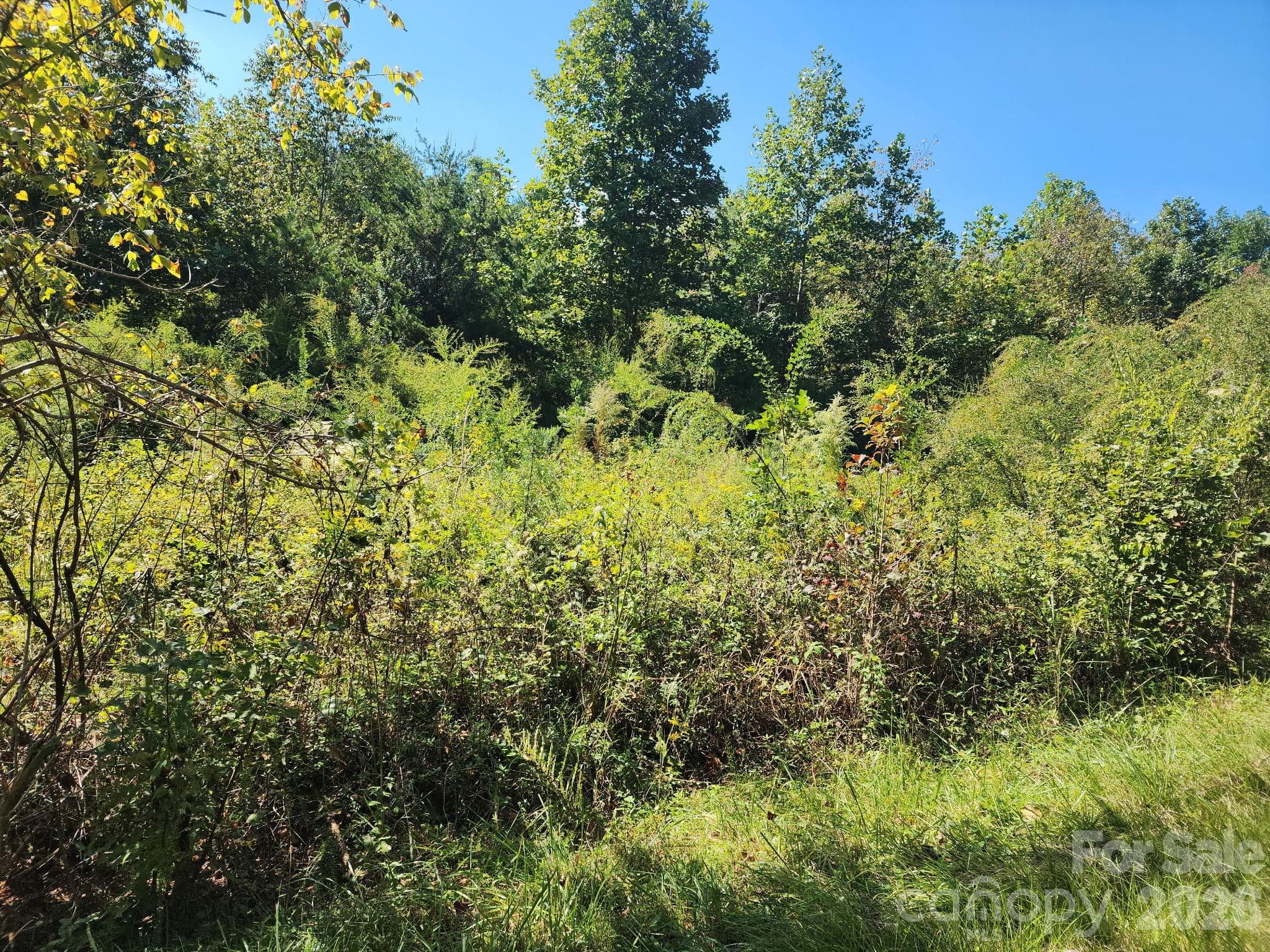 Acreage at 0 Freemantown Road, Lake Lure, photo 5 of 20