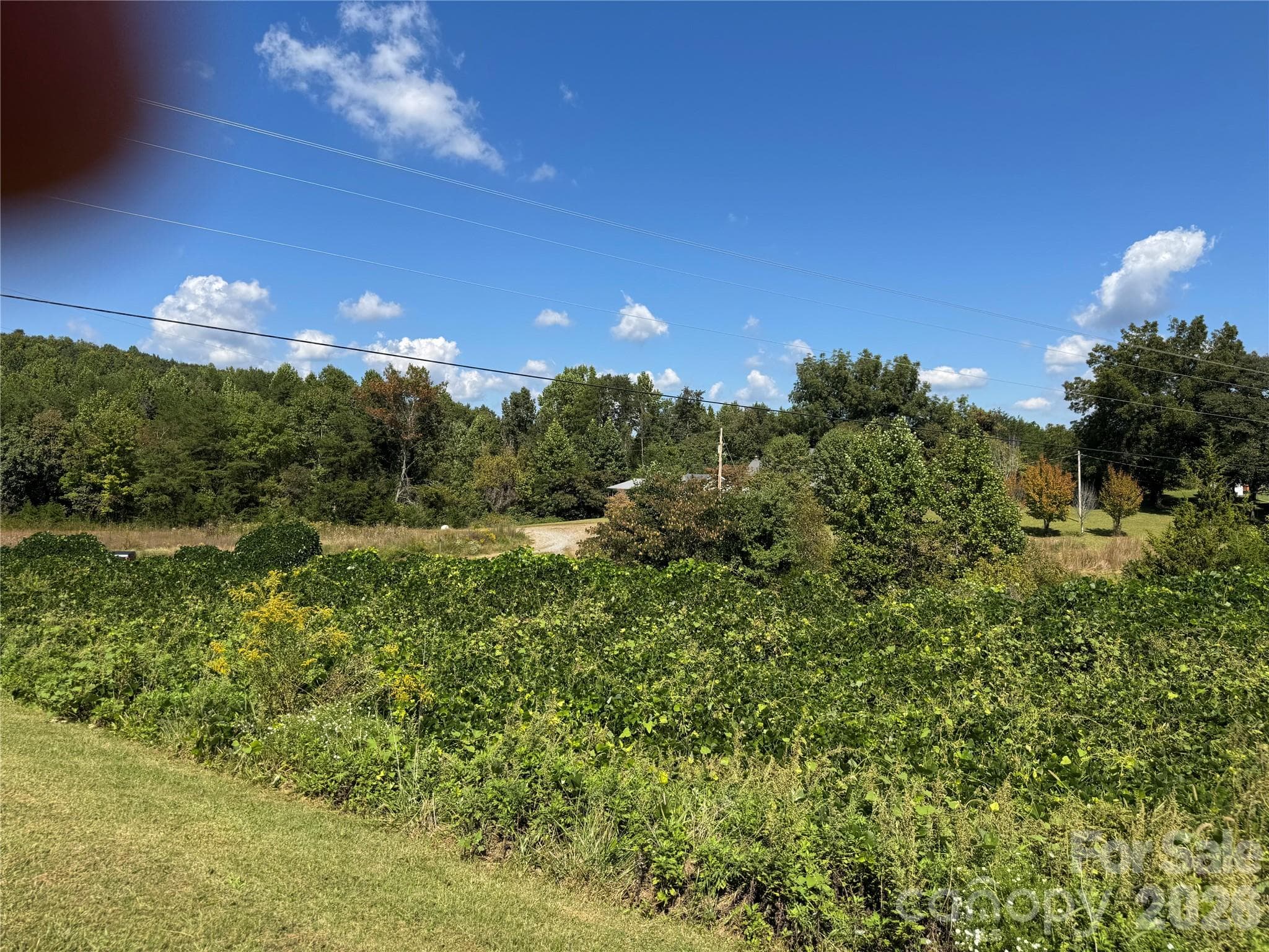 Acreage at 0 Freemantown Road, Lake Lure, photo 10 of 20