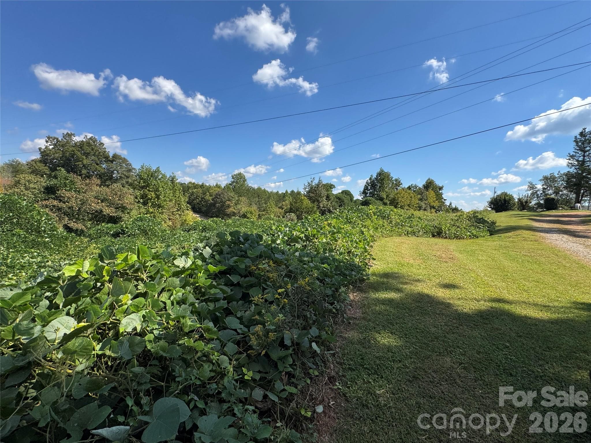 Acreage at 0 Freemantown Road, Lake Lure, photo 13 of 20