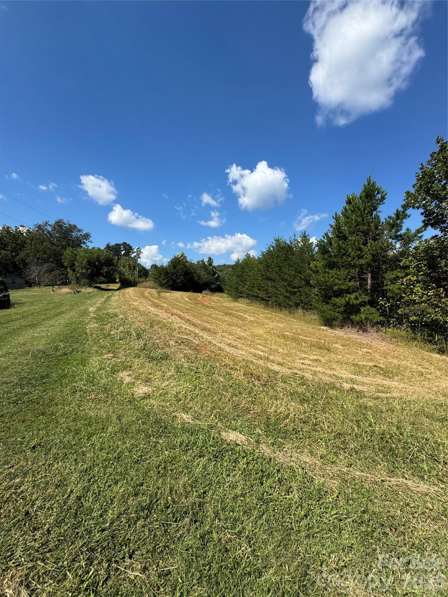 Acreage at 0 Freemantown Road, Lake Lure, photo 15 of 20