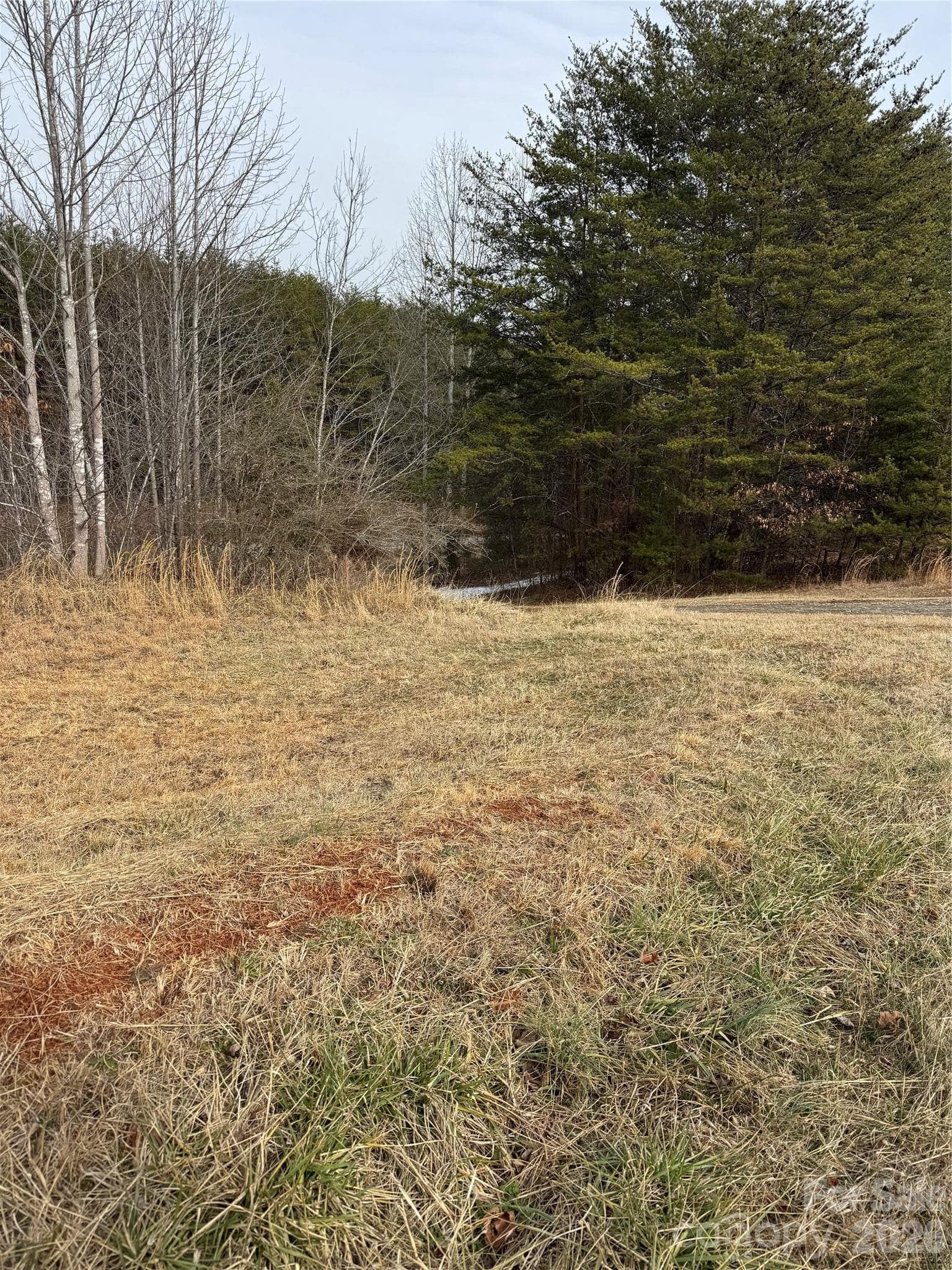 Acreage at 0 Freemantown Road, Lake Lure, photo 16 of 20
