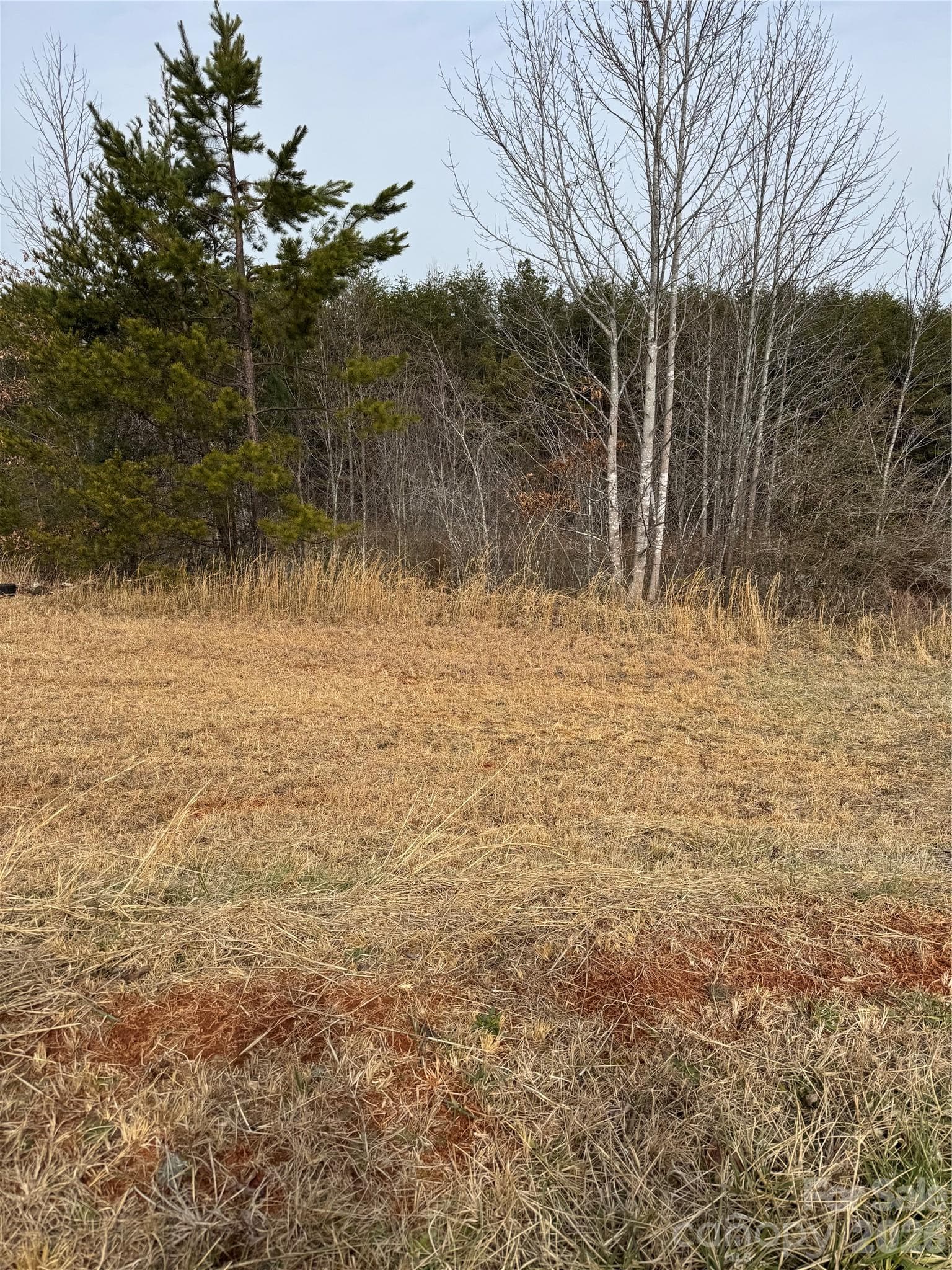 Acreage at 0 Freemantown Road, Lake Lure, photo 17 of 20