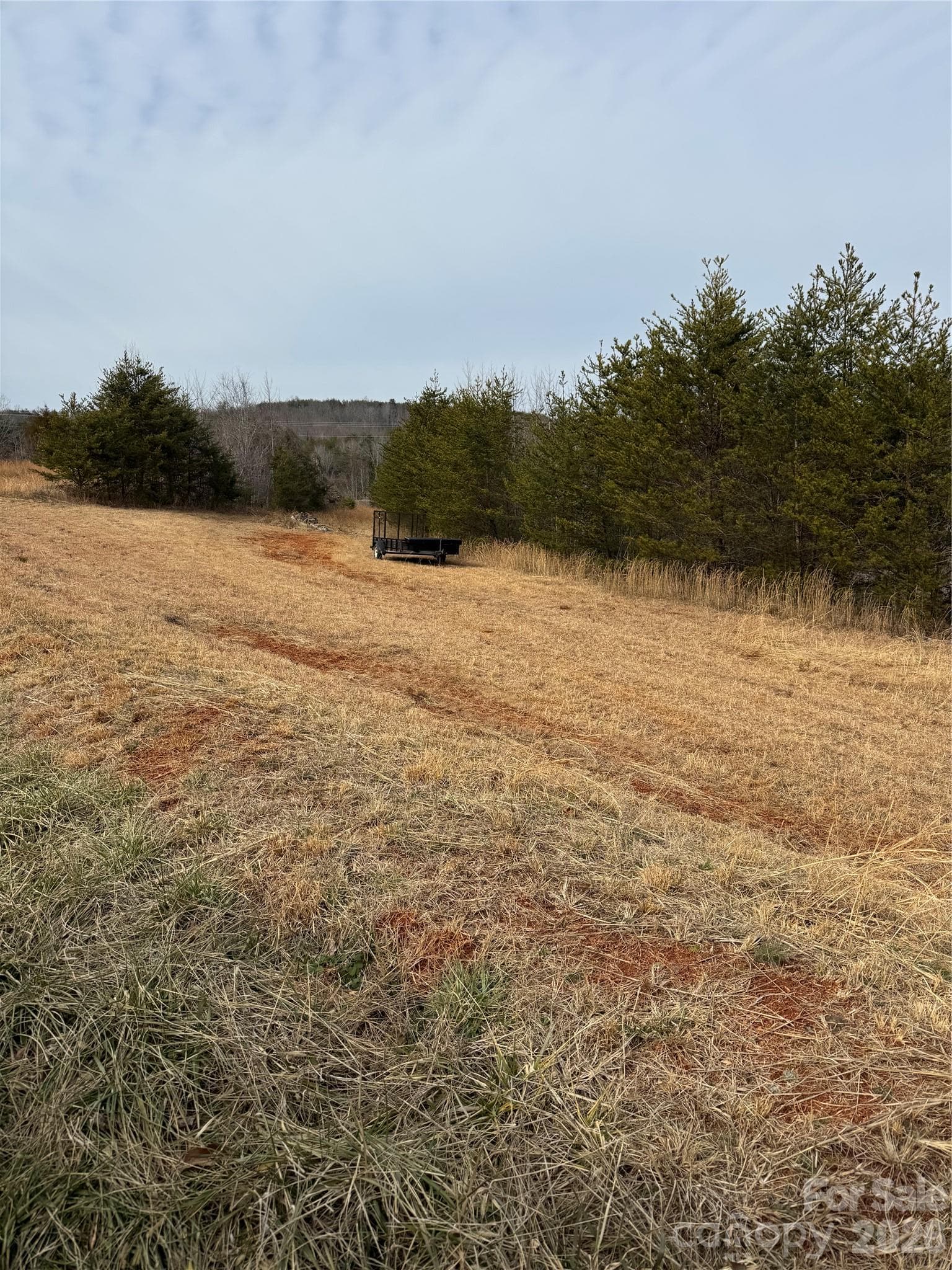 Acreage at 0 Freemantown Road, Lake Lure, photo 19 of 20