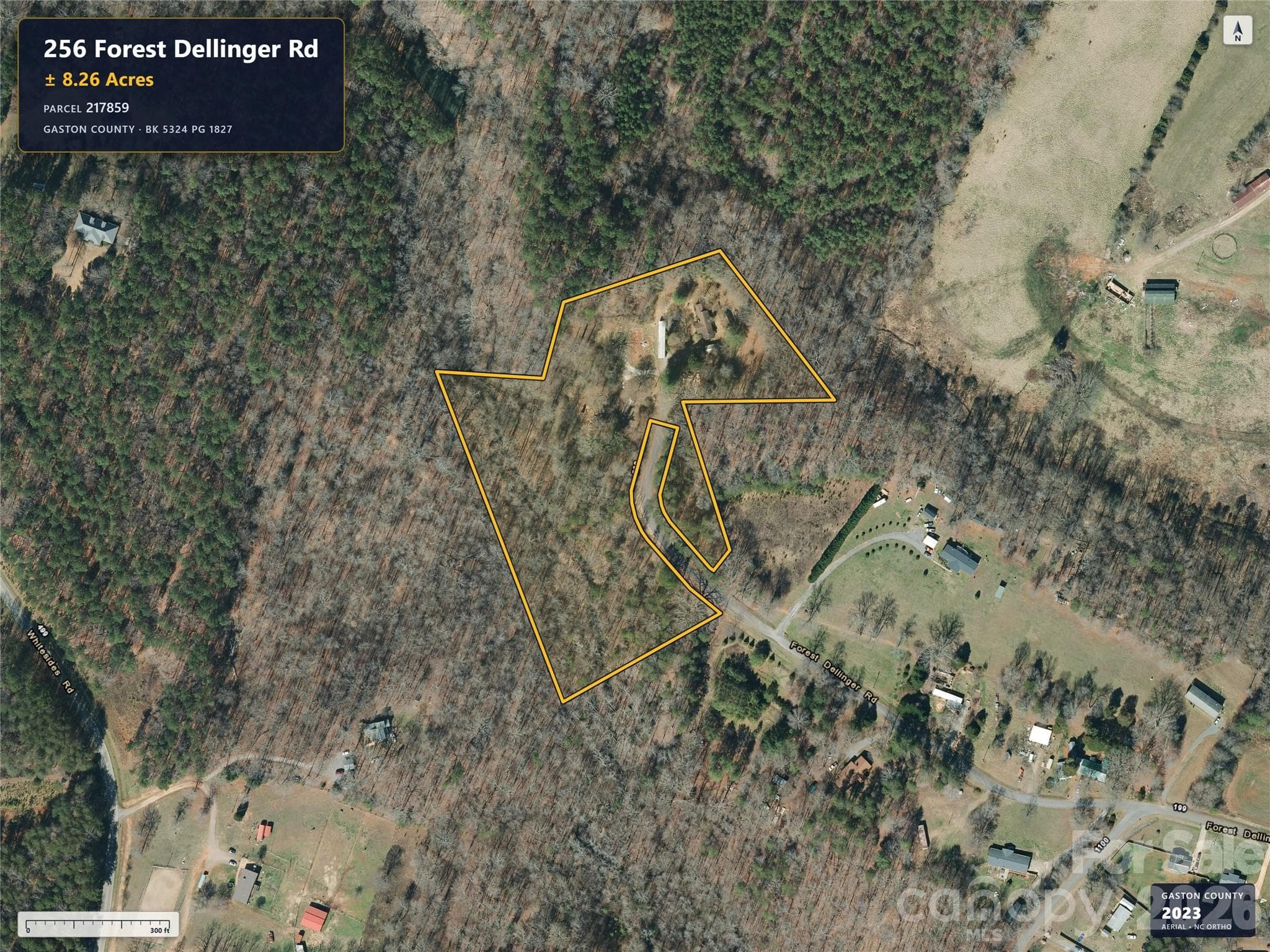 Acreage at 256 Forest Dellinger Road, Bessemer City, photo 2 of 5
