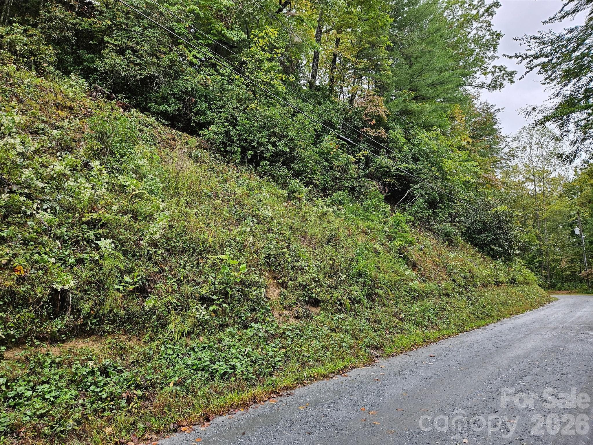 Lot at Lake Lure, photo 4 of 20