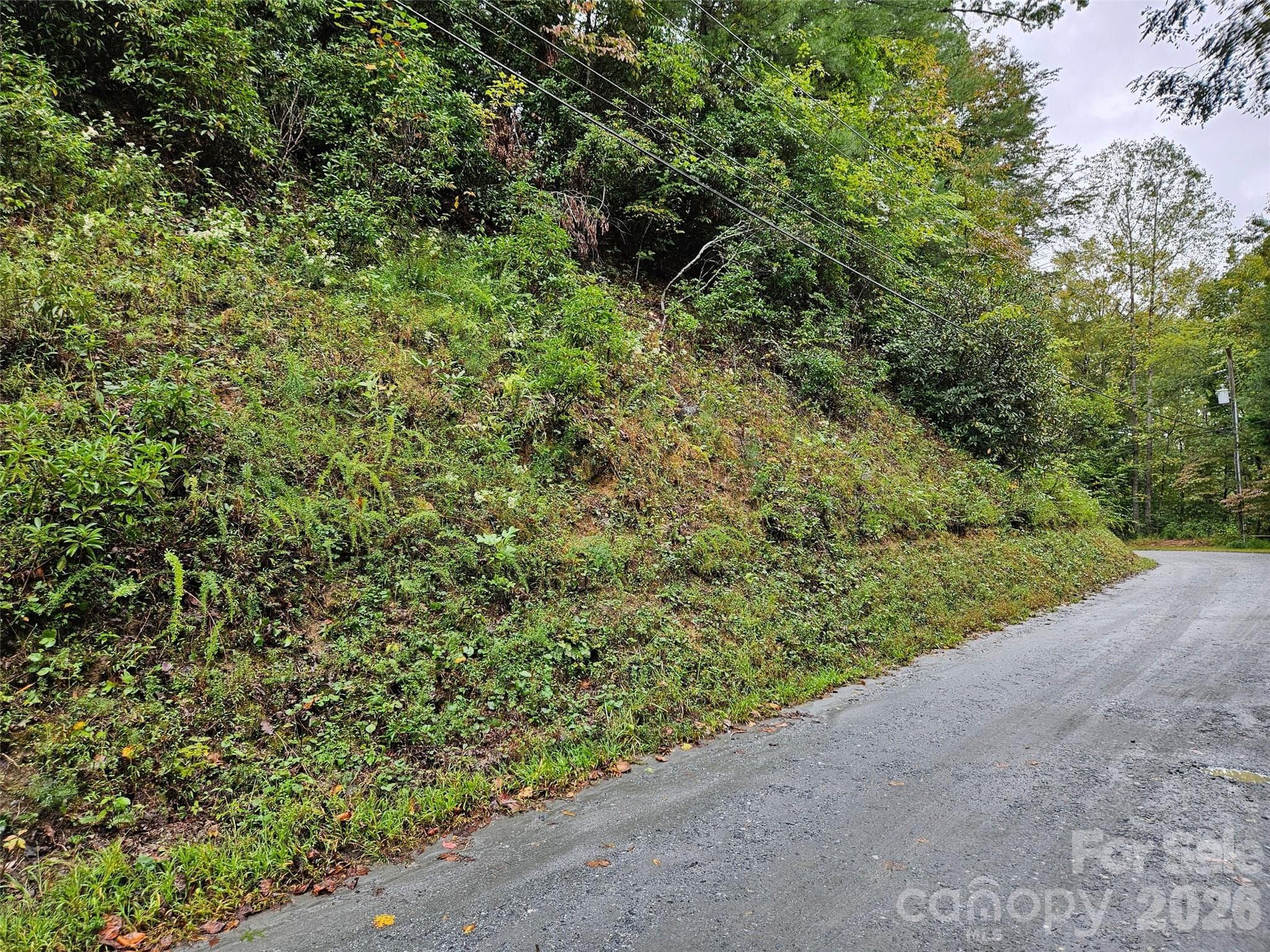 Lot at Lake Lure, photo 14 of 20