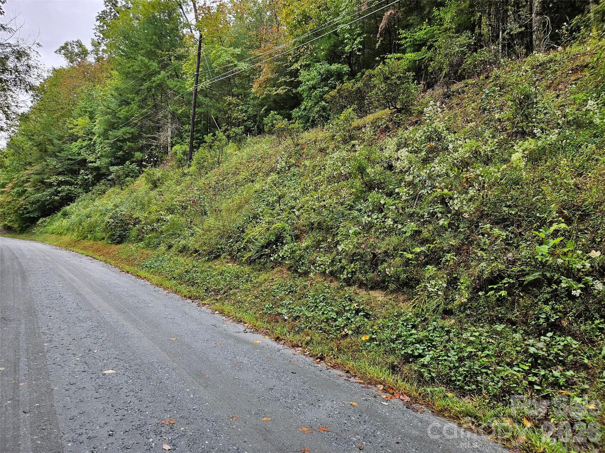 Lot at Lake Lure, photo 16 of 20