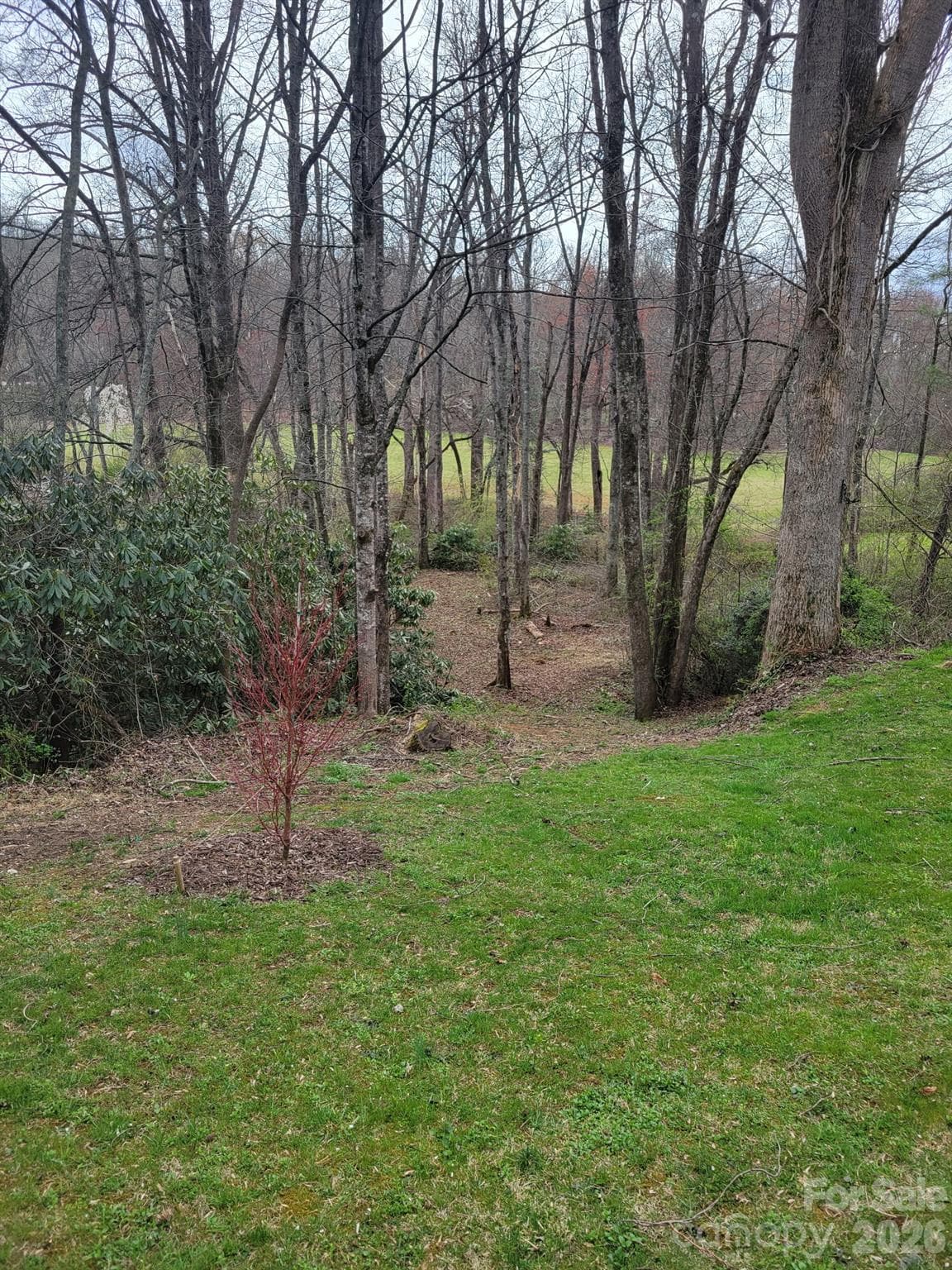 Single Family Residence at 183 Gobbler Circle, Horse Shoe, photo 25 of 30