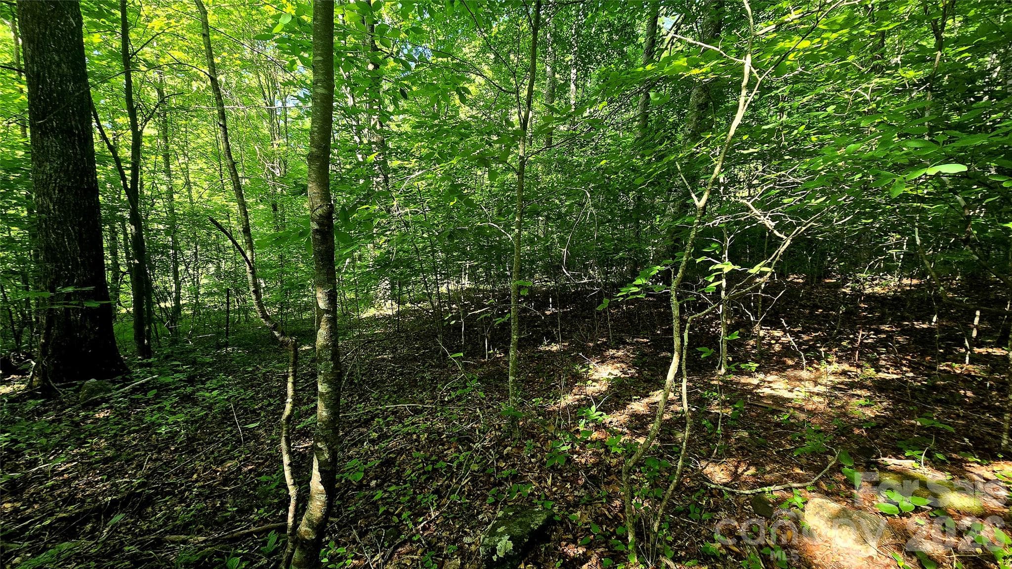 Lot 11 Elk Creek Mountain Parkway