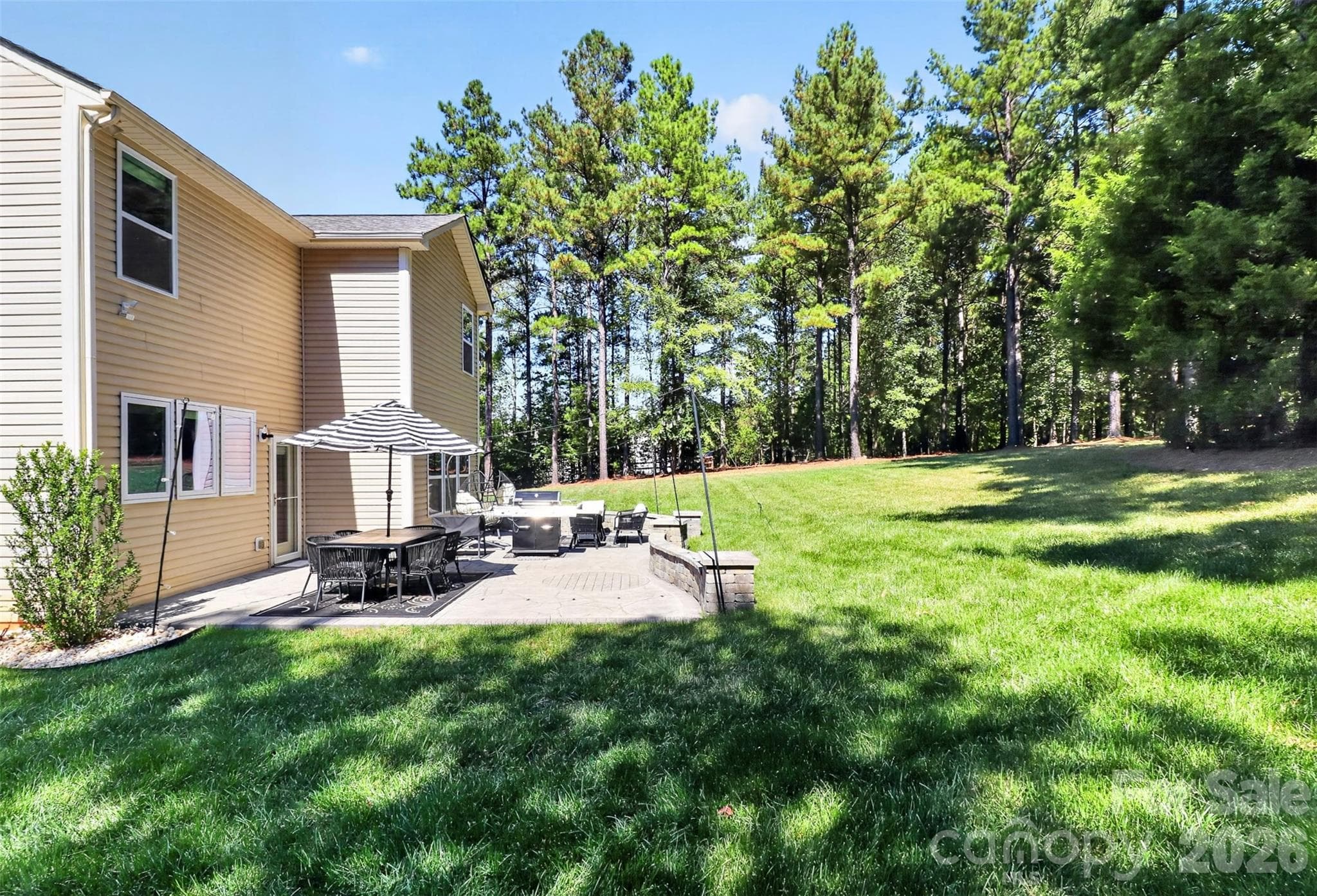 Solar Lights on Trees - 8122 Mossy Rock Road, Waxhaw