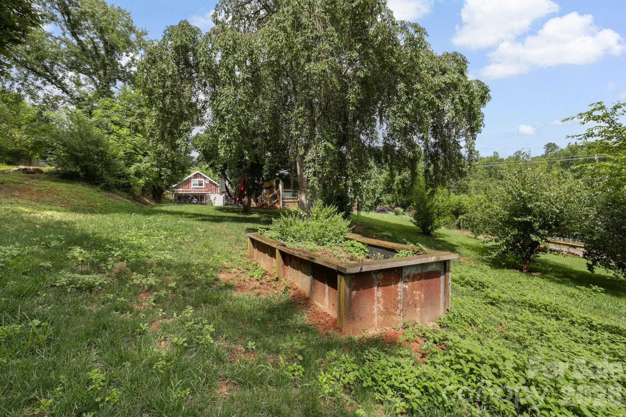 Garden space and historic trees, native shrubs and perennials throughout the yard - 2252 Riceville Road, Asheville